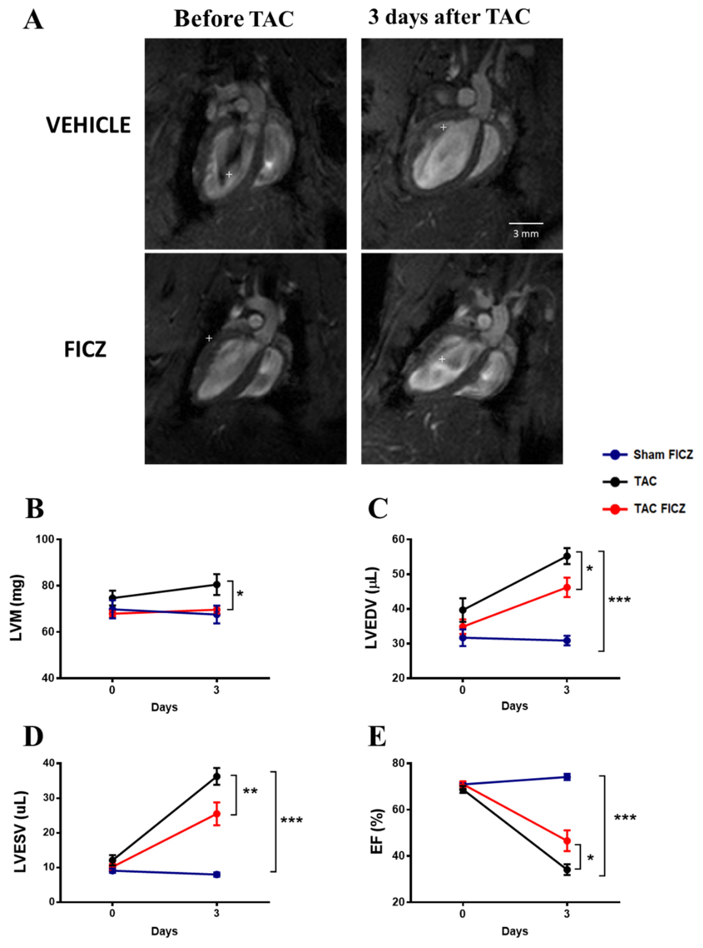 Ijms 23 05403 g002 550