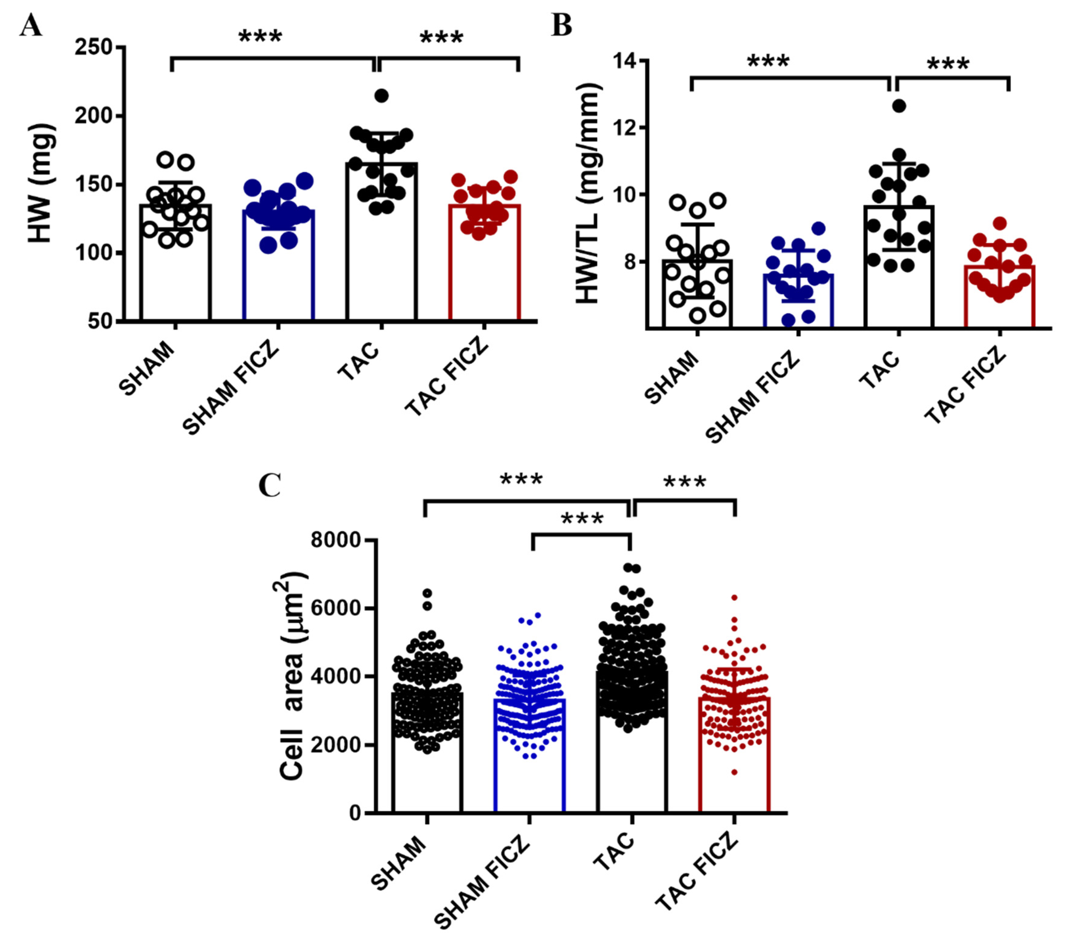 Ijms 23 05403 g003 550