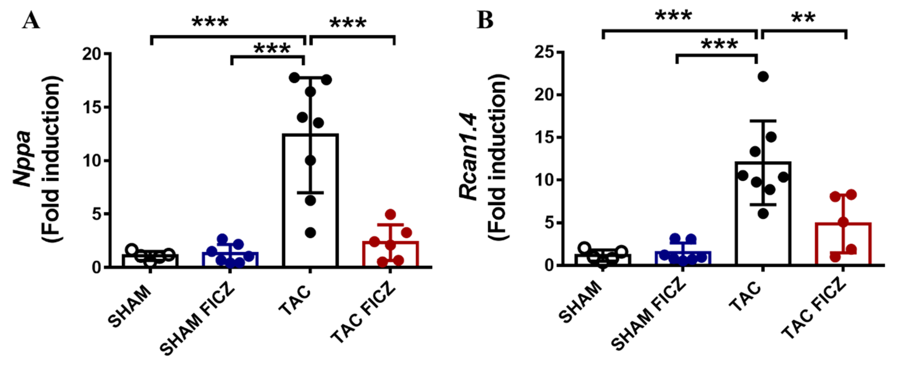 Ijms 23 05403 g004 550