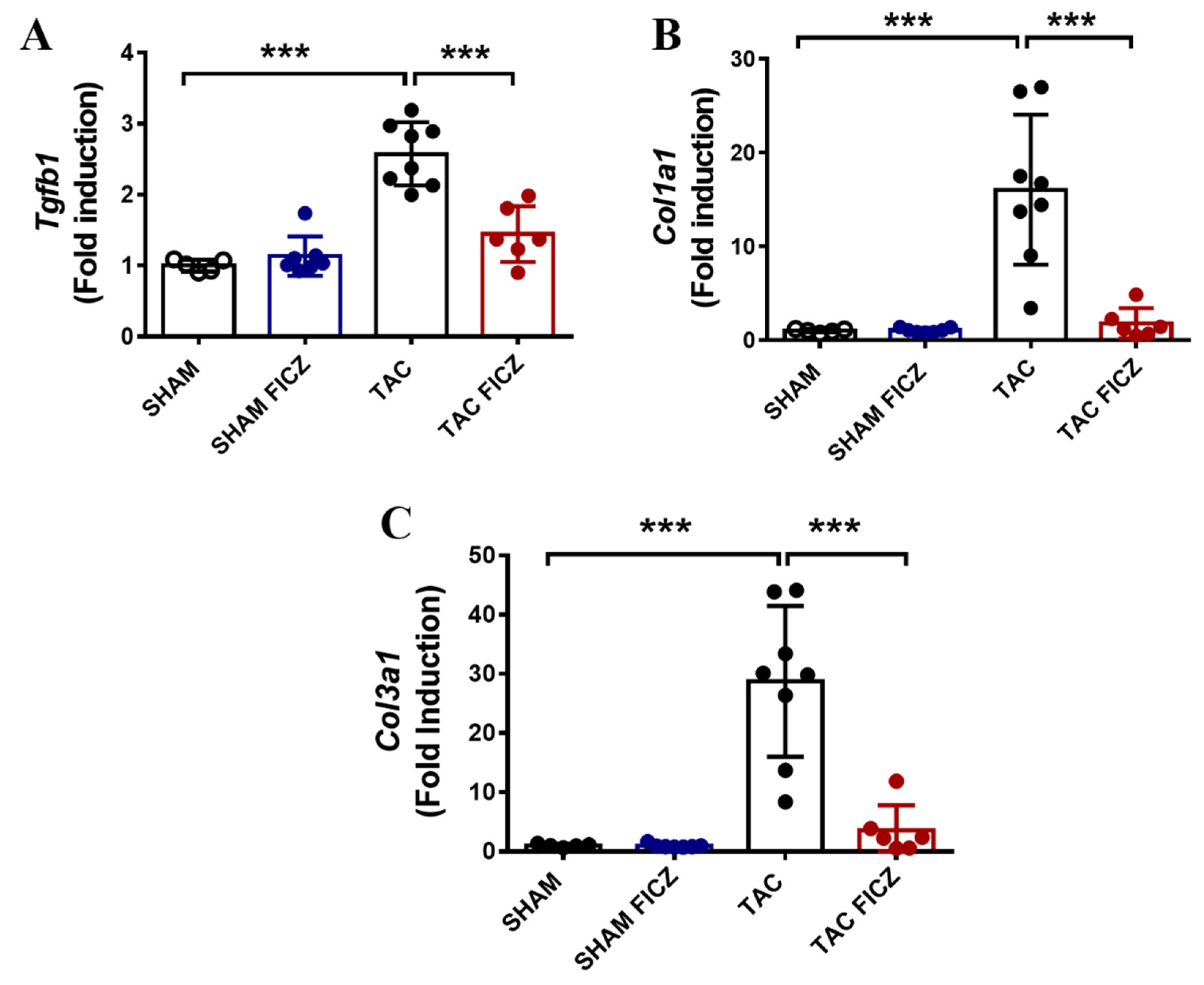 Ijms 23 05403 g005 550
