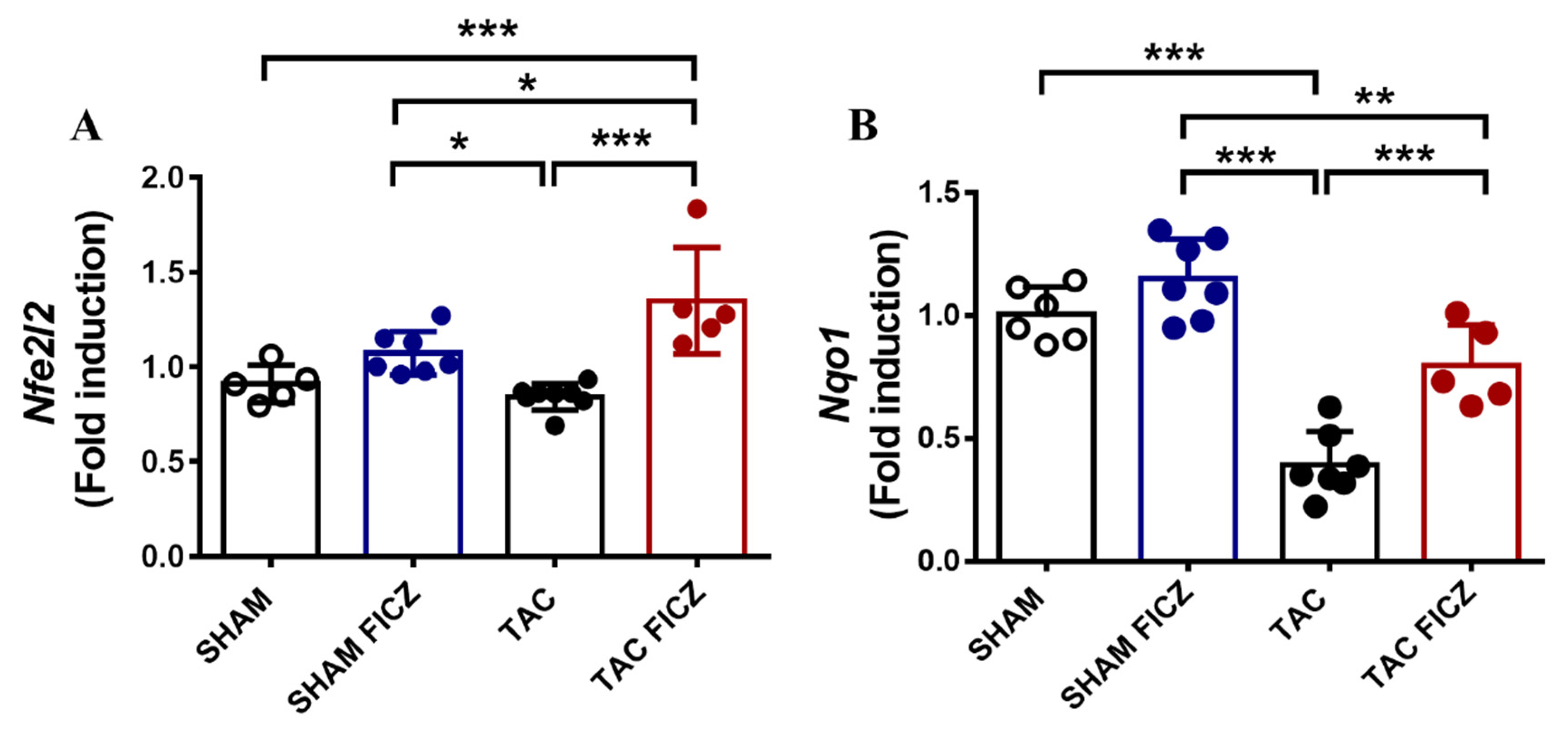 Ijms 23 05403 g007 550