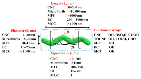 Cellulose-Based Nanomaterials Advance Biomedicine: A Review