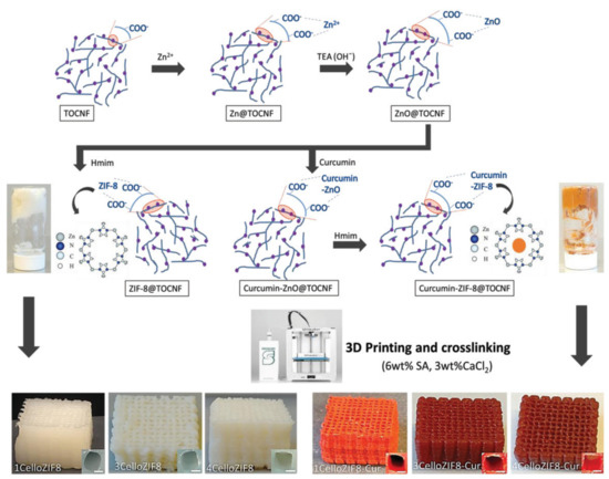 Cellulose-Based Nanomaterials Advance Biomedicine: A Review