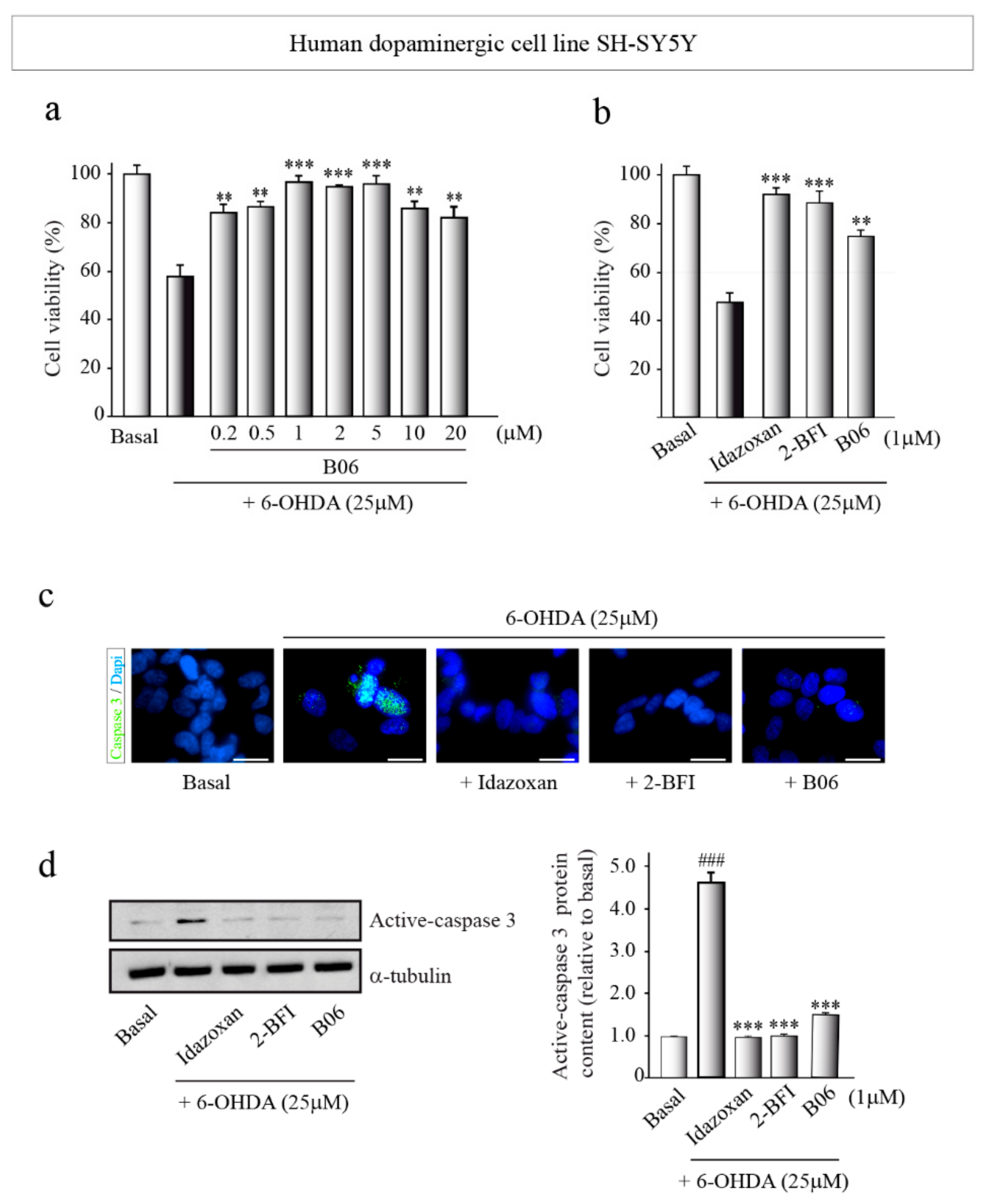 Ijms 23 05408 g007 Ijms 23 05408 g007