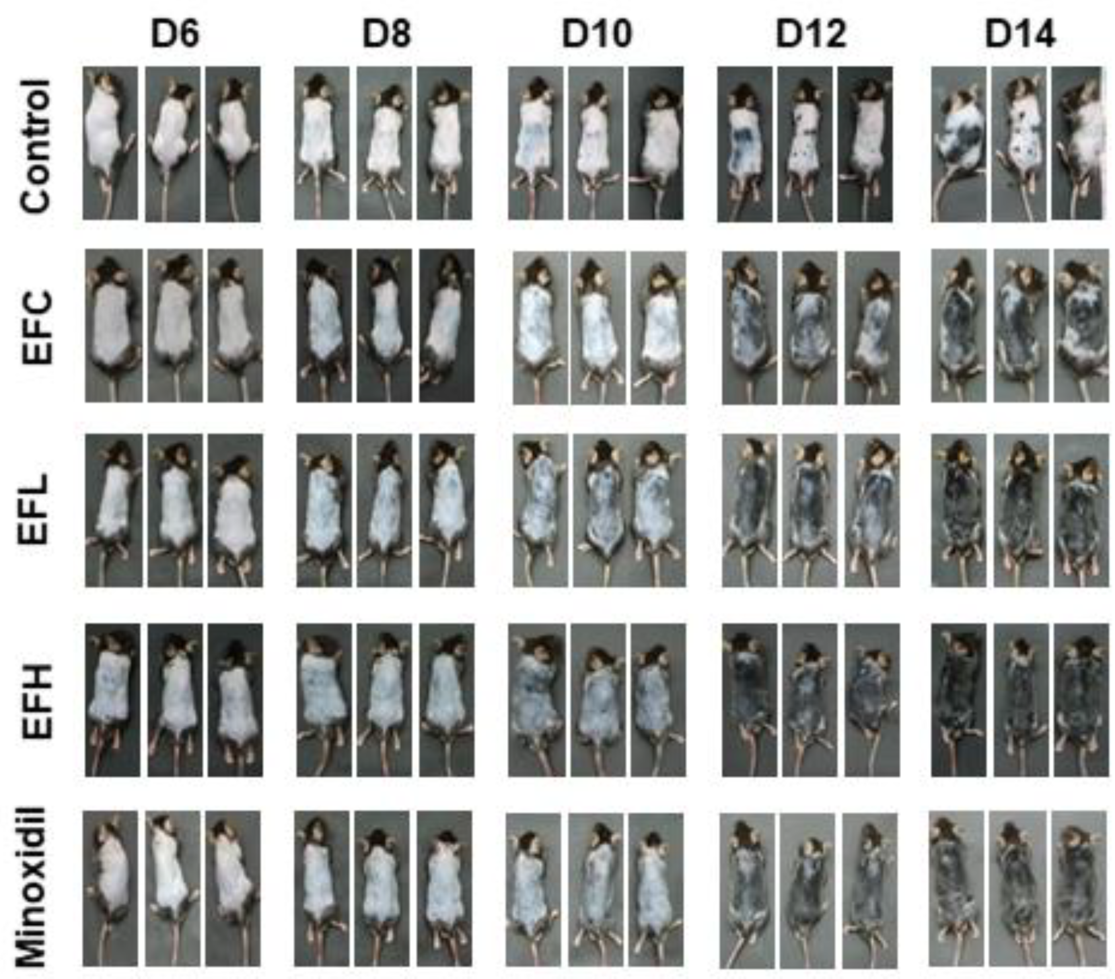 Ijms 23 05413 g002 550