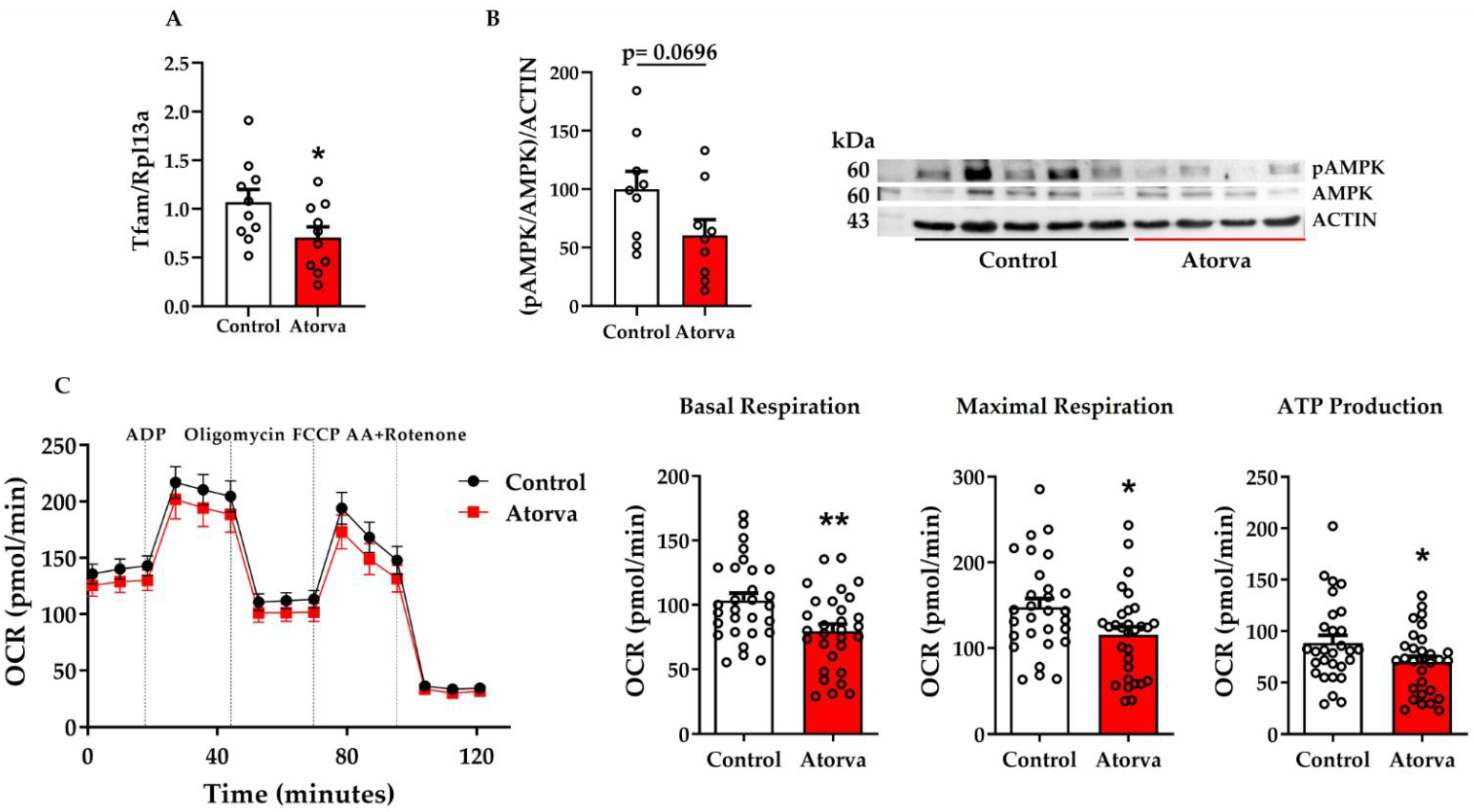 Ijms 23 05415 g003 550