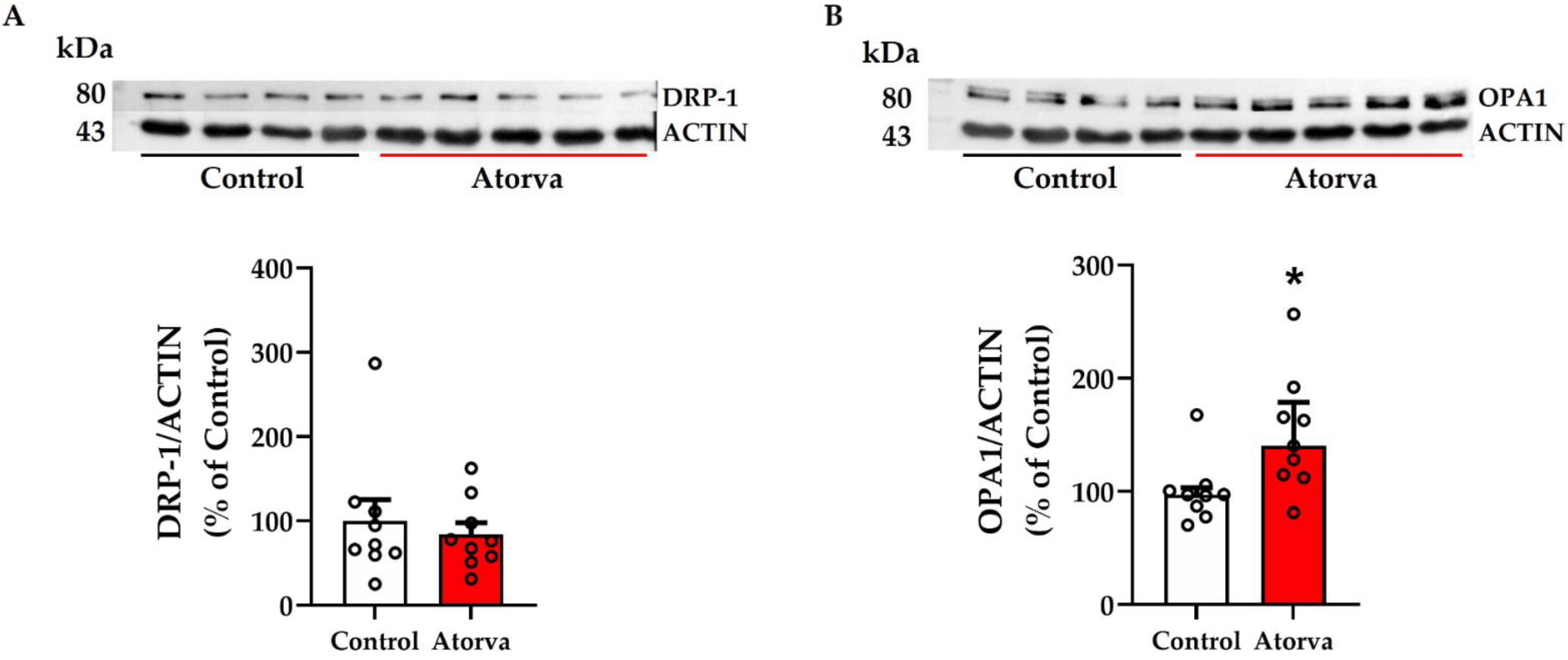 Ijms 23 05415 g004 550