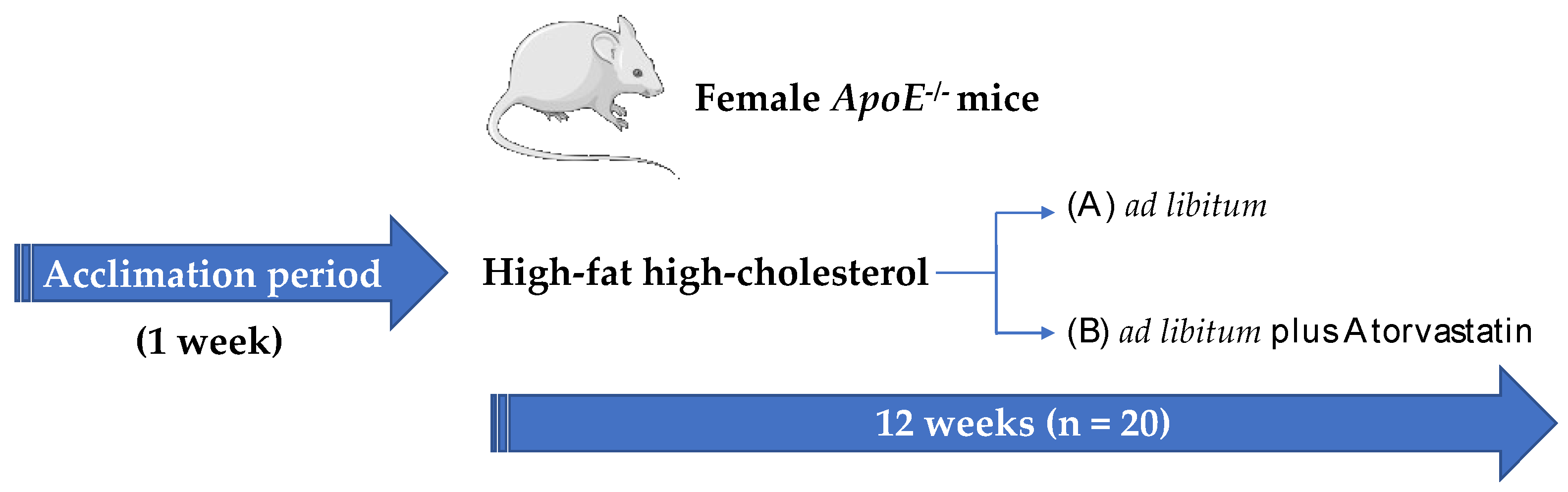 Ijms 23 05415 g009 550
