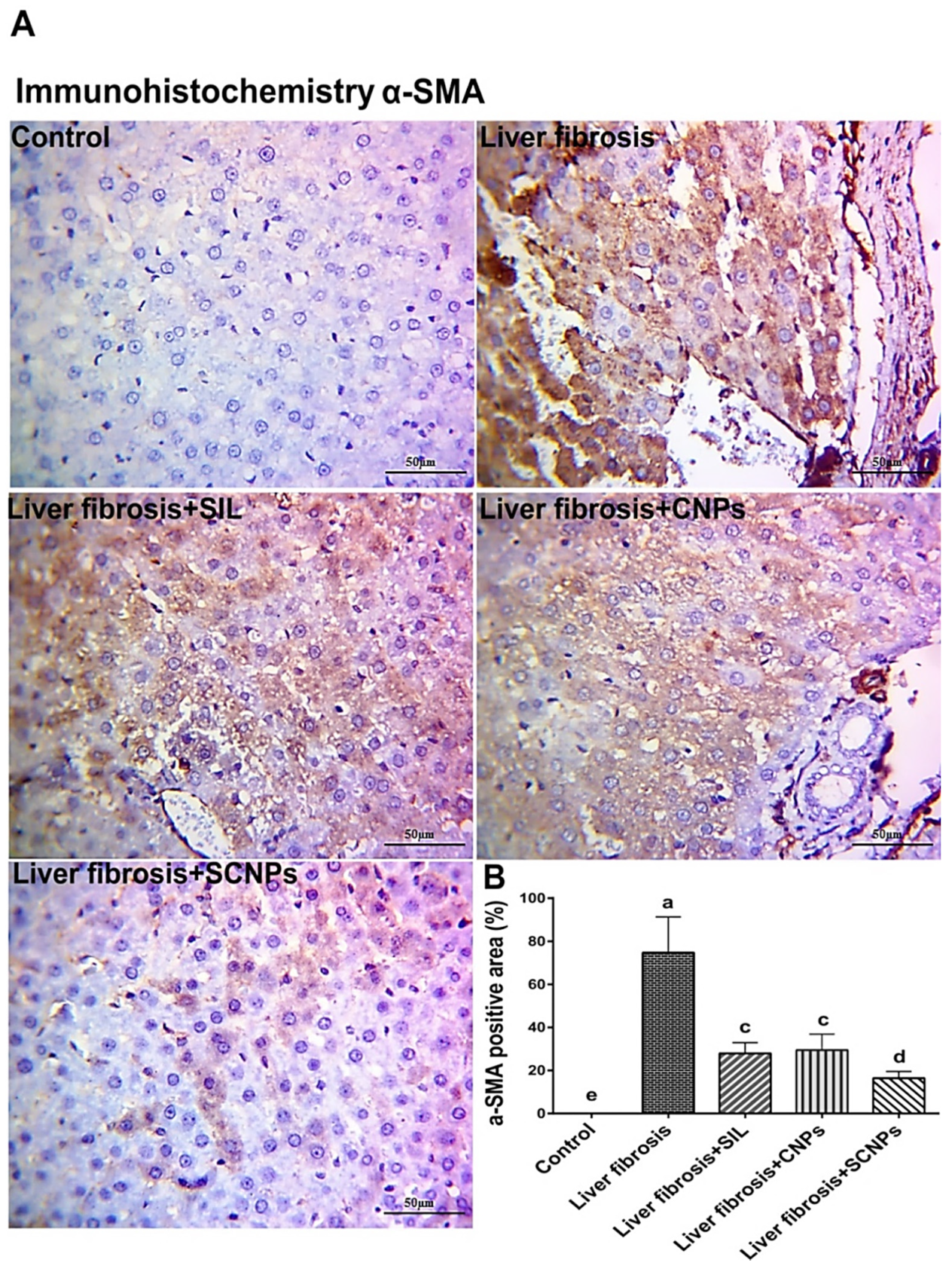 Ijms 23 05420 g012 550