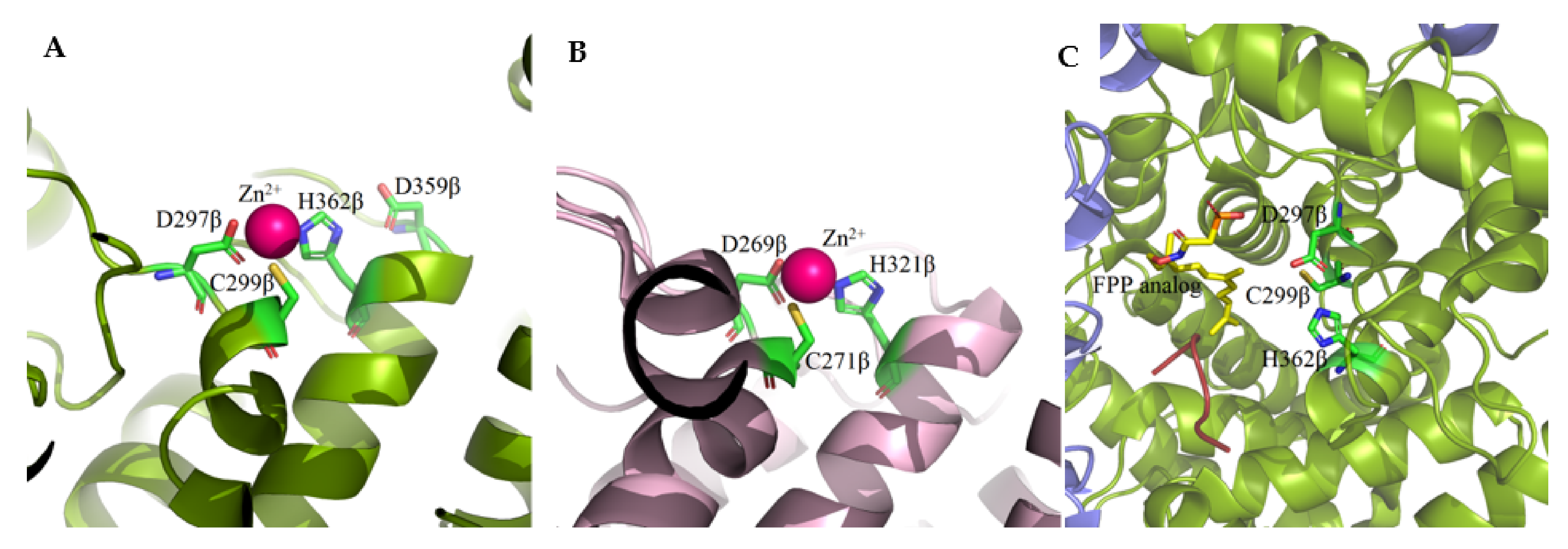 Ijms 23 05424 g003 550