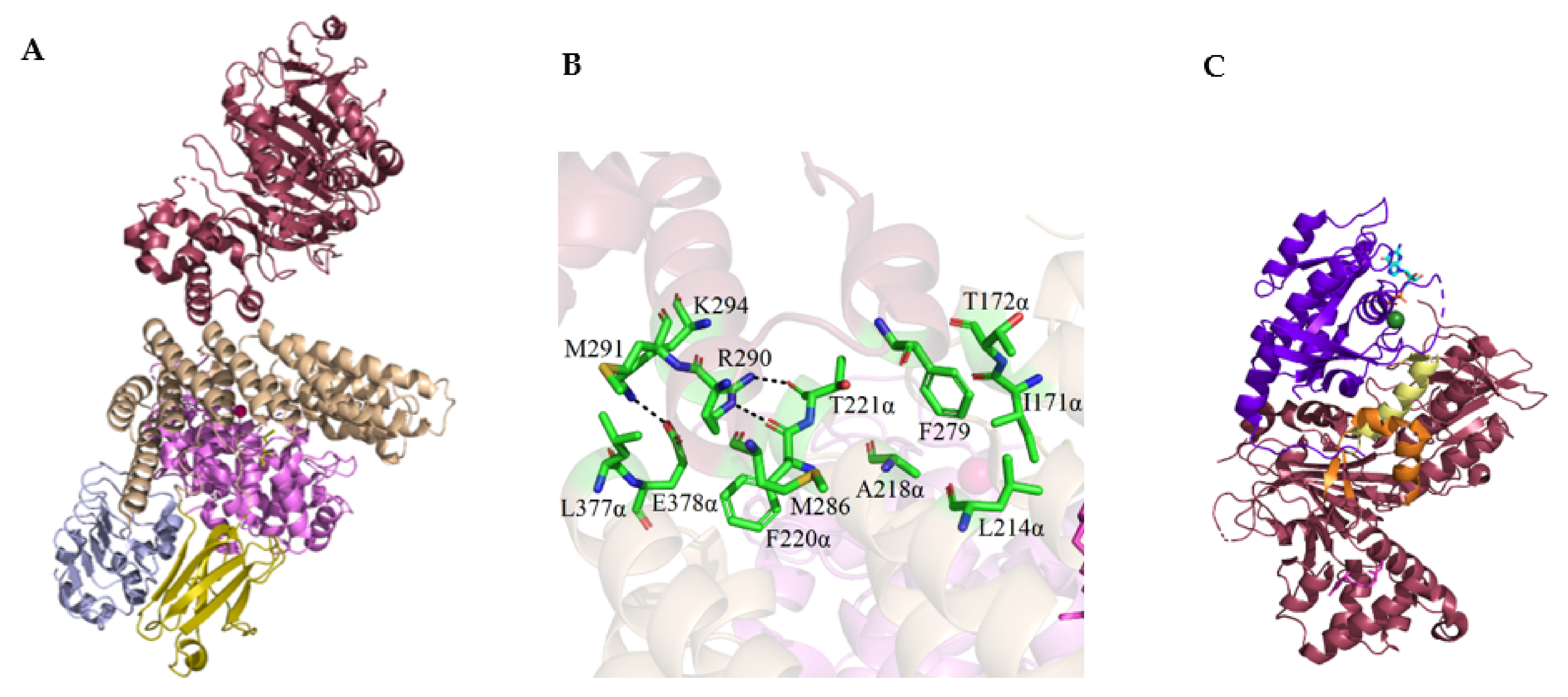 Ijms 23 05424 g006 550