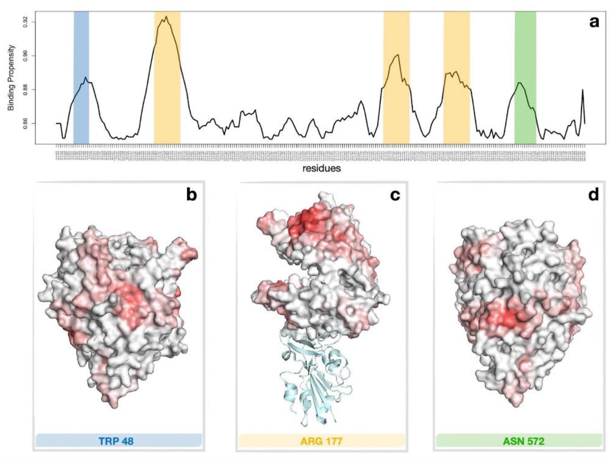Ijms 23 05436 g004 550
