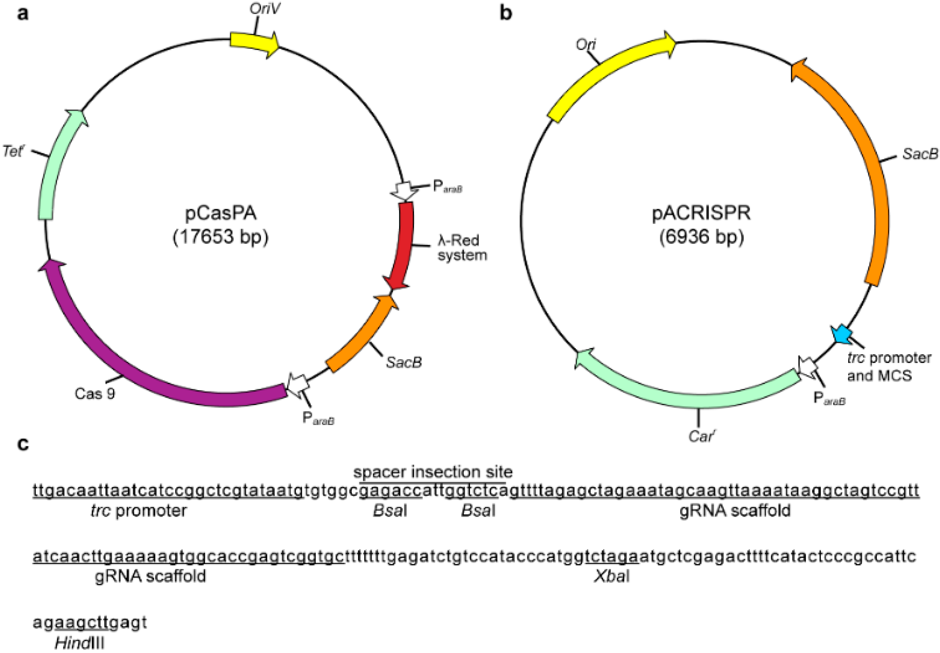 Ijms 23 05443 g002 550