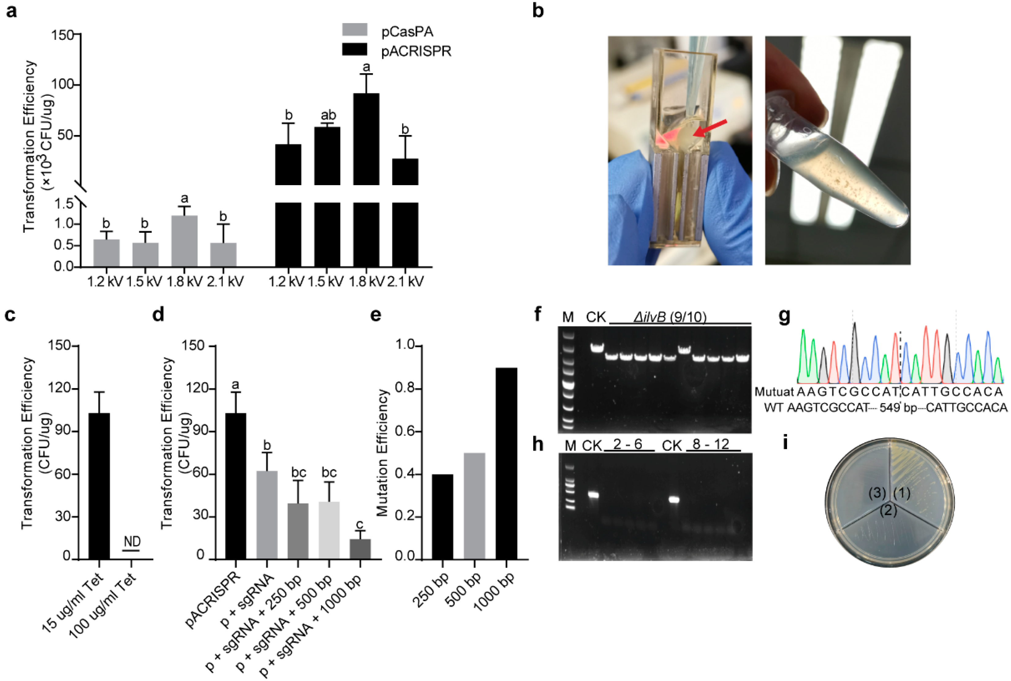 Ijms 23 05443 g003 550