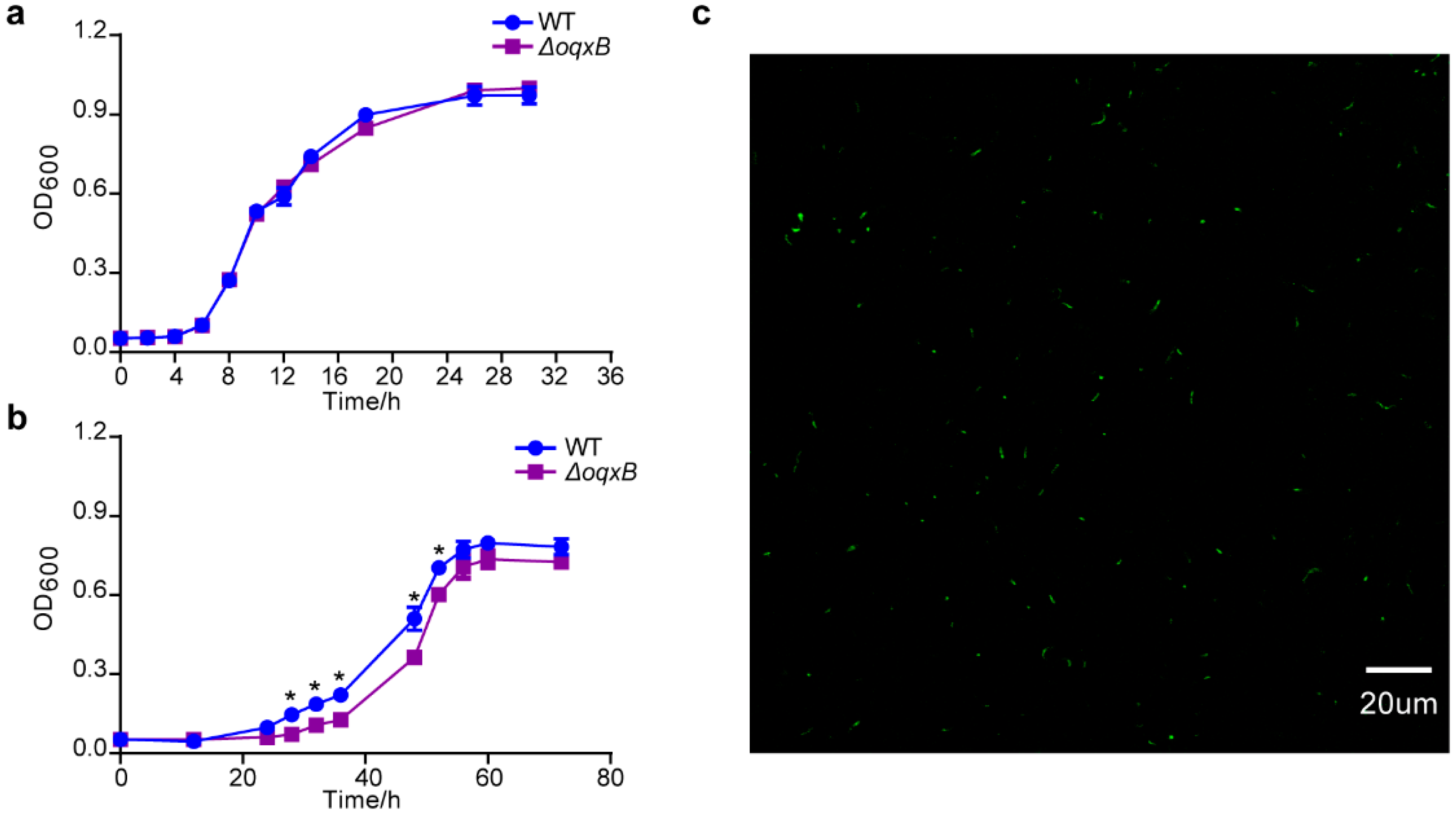 Ijms 23 05443 g005 550