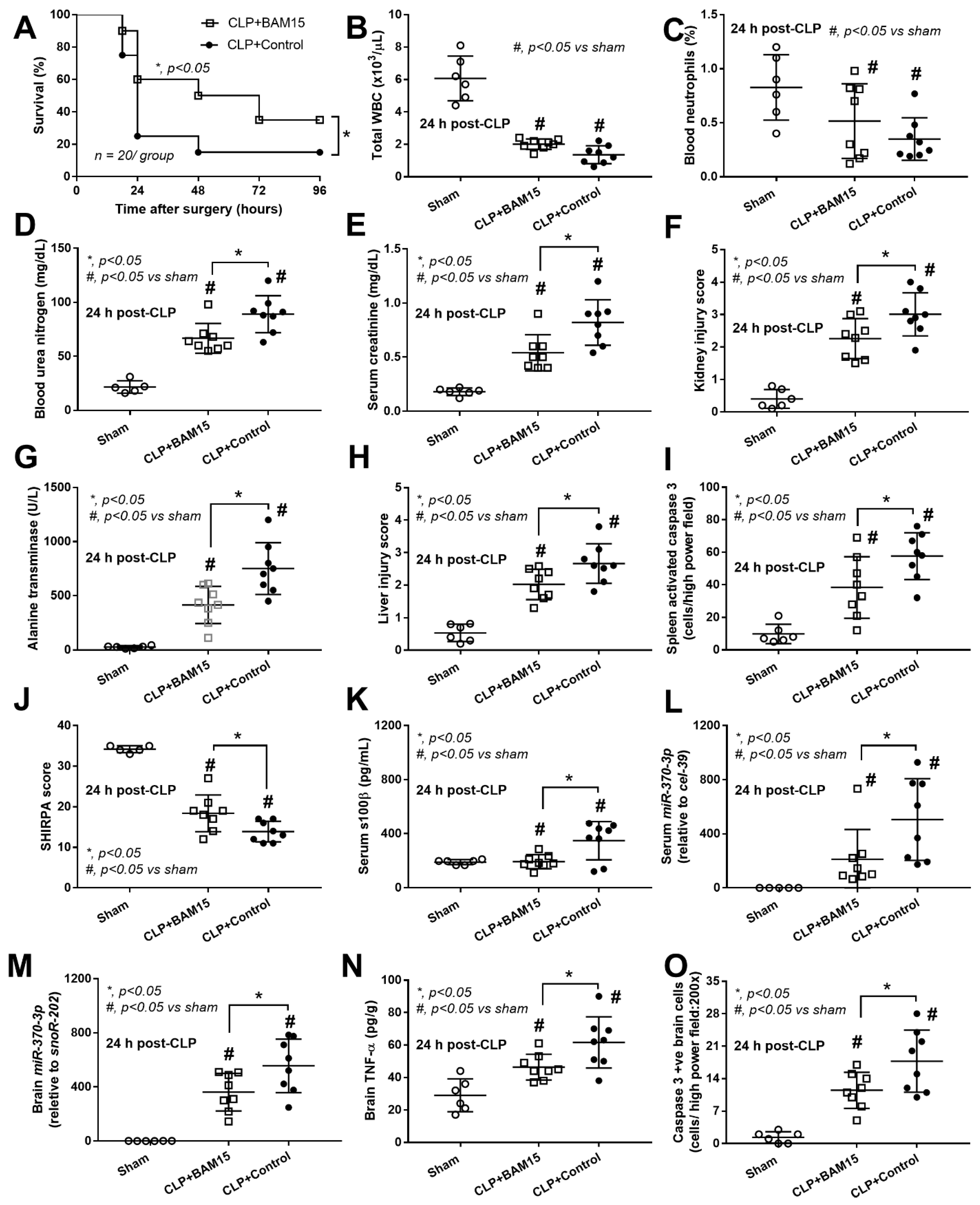 Ijms 23 05445 g001 Ijms 23 05445 g001