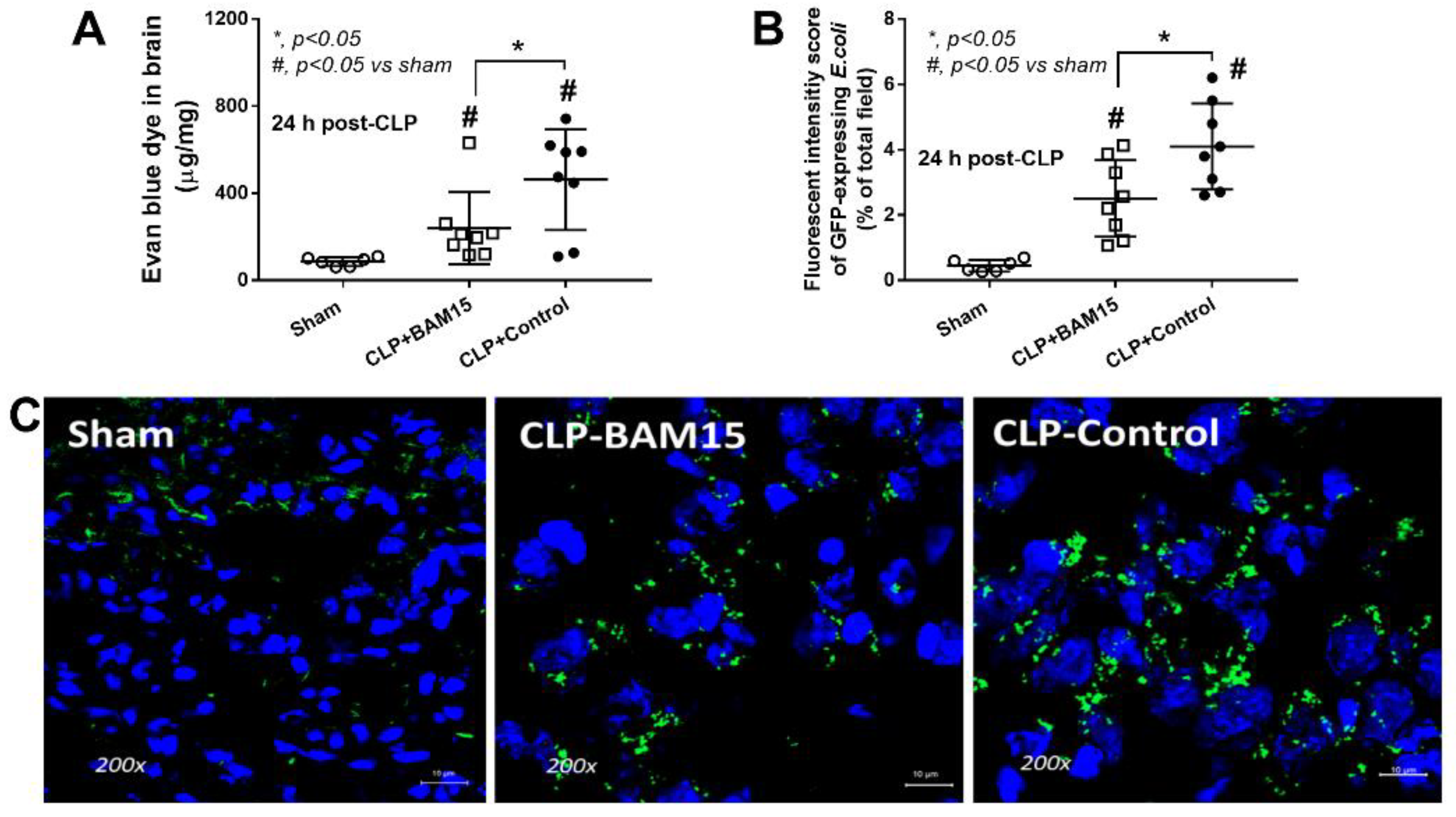 Ijms 23 05445 g004 Ijms 23 05445 g004
