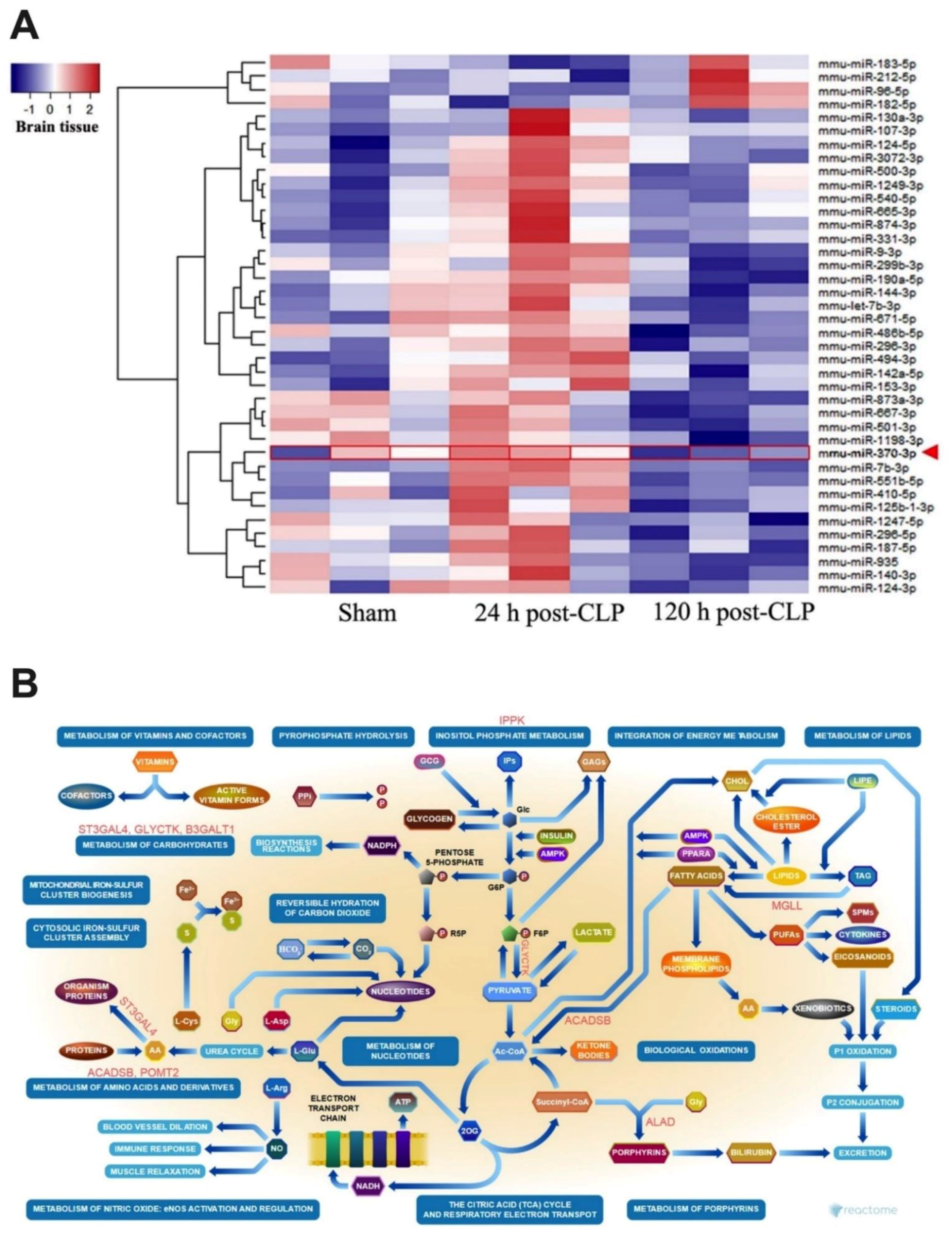Ijms 23 05445 g005 Ijms 23 05445 g005