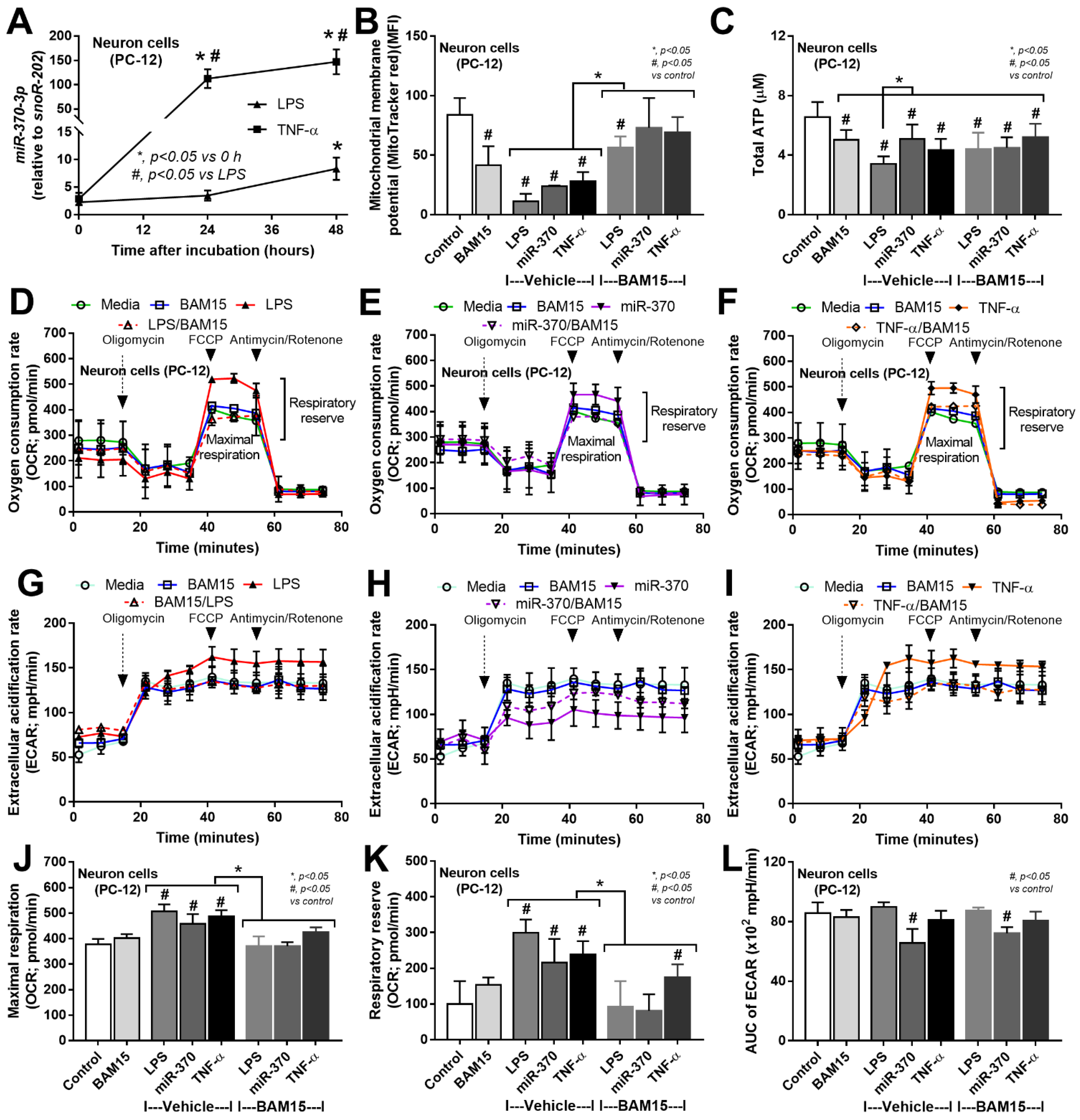Ijms 23 05445 g007 Ijms 23 05445 g007