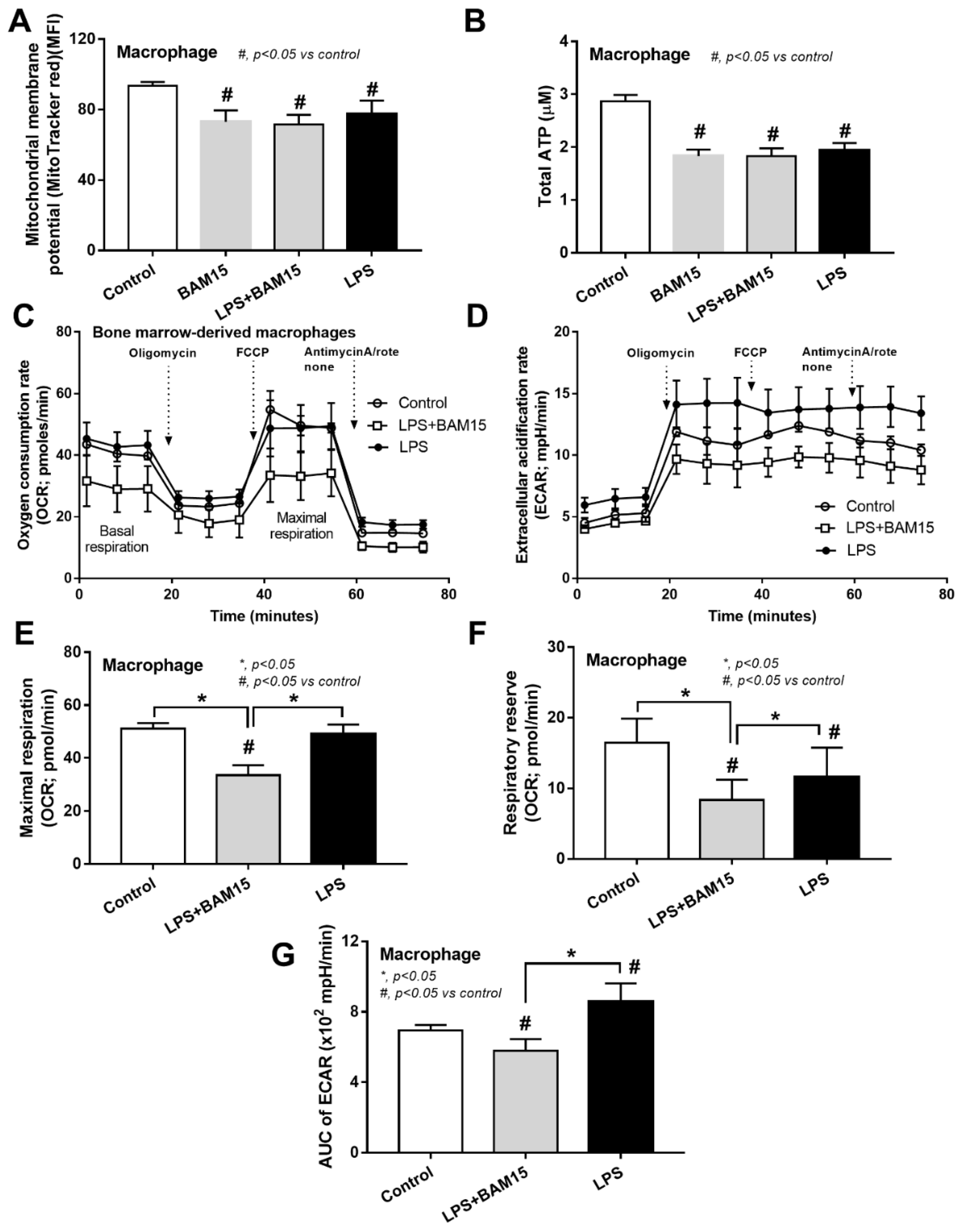 Ijms 23 05445 g008 Ijms 23 05445 g008