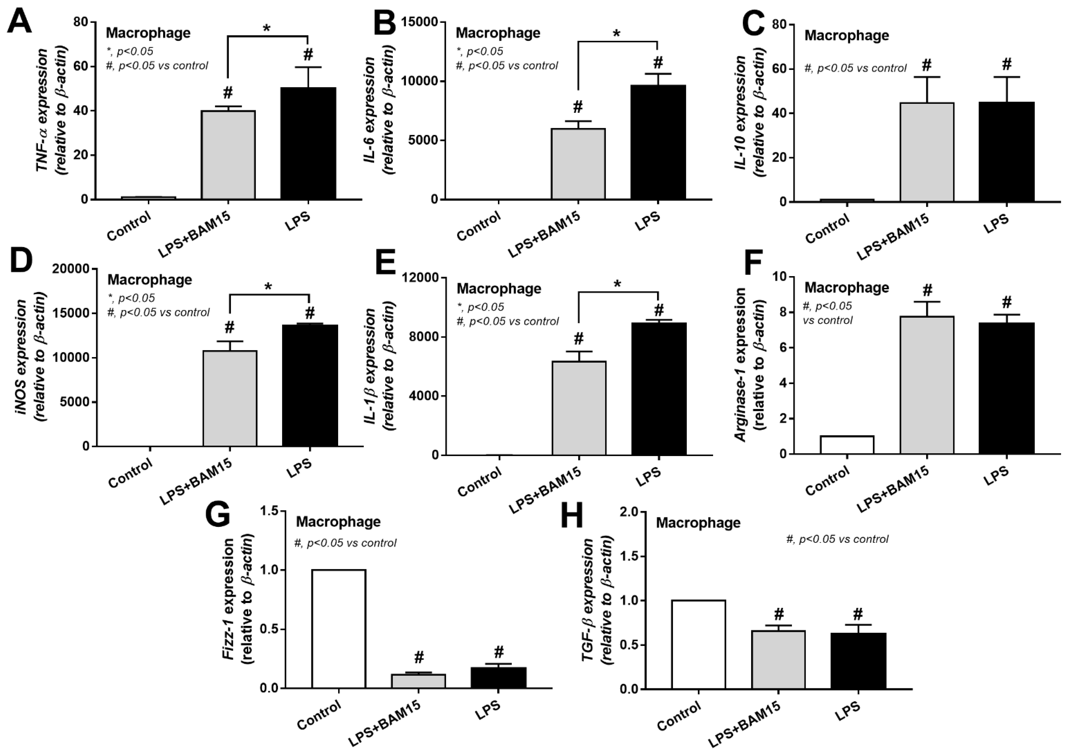 Ijms 23 05445 g009 Ijms 23 05445 g009