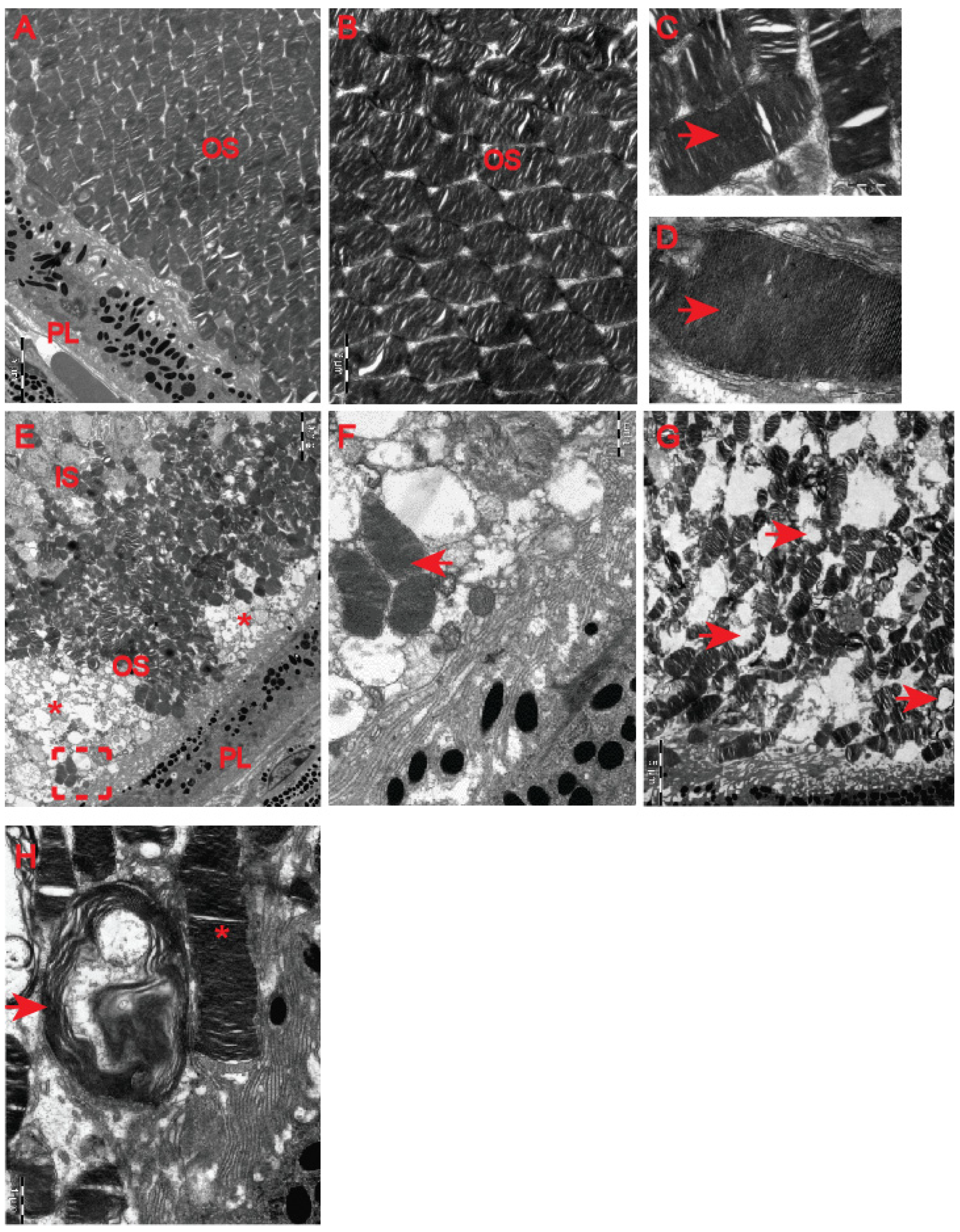 Ijms 23 05450 g007 550