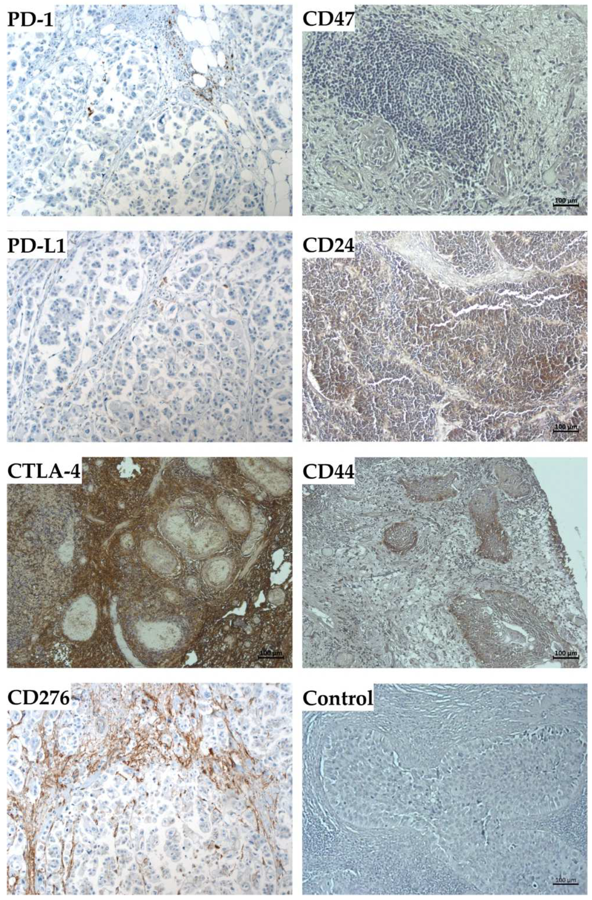 Ijms 23 05453 g010 550