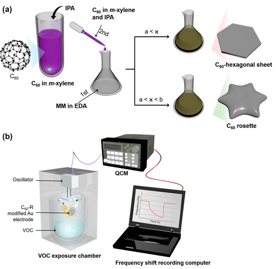 Fullerene Rosette: Two-Dimensional Interactive Nanoarchitectonics