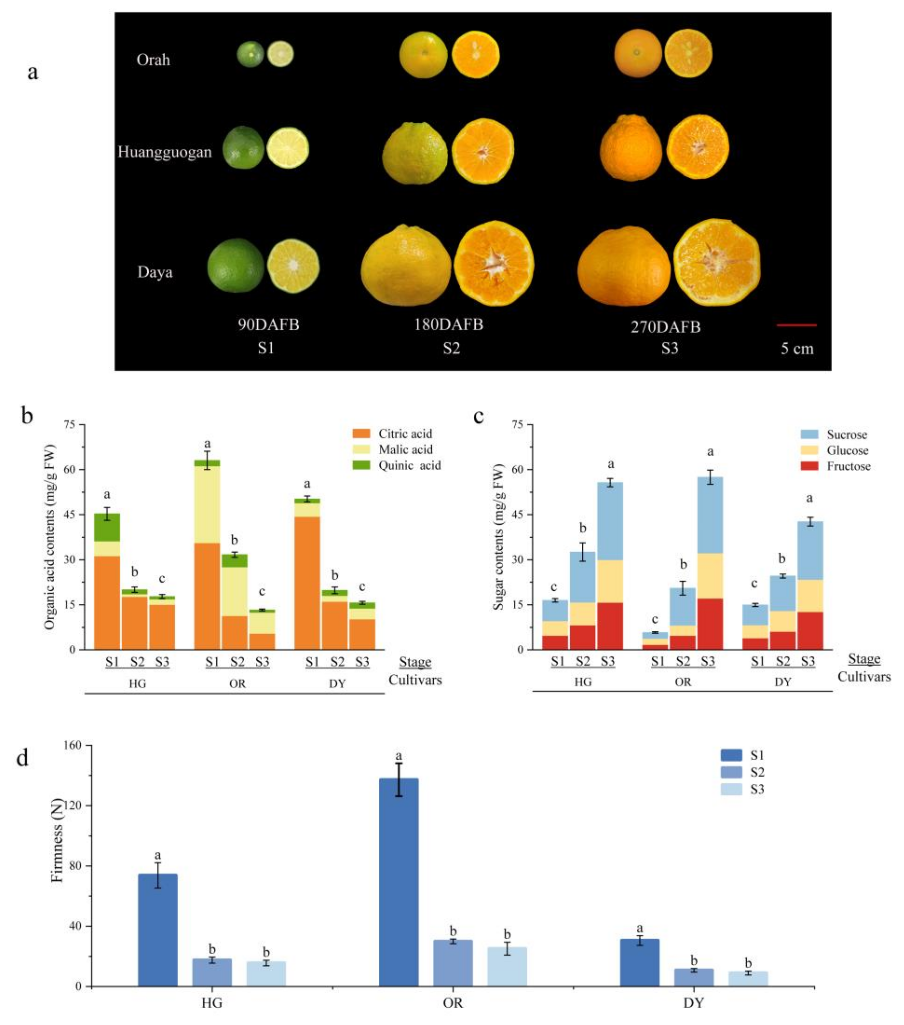 Ijms 23 05457 g001 550