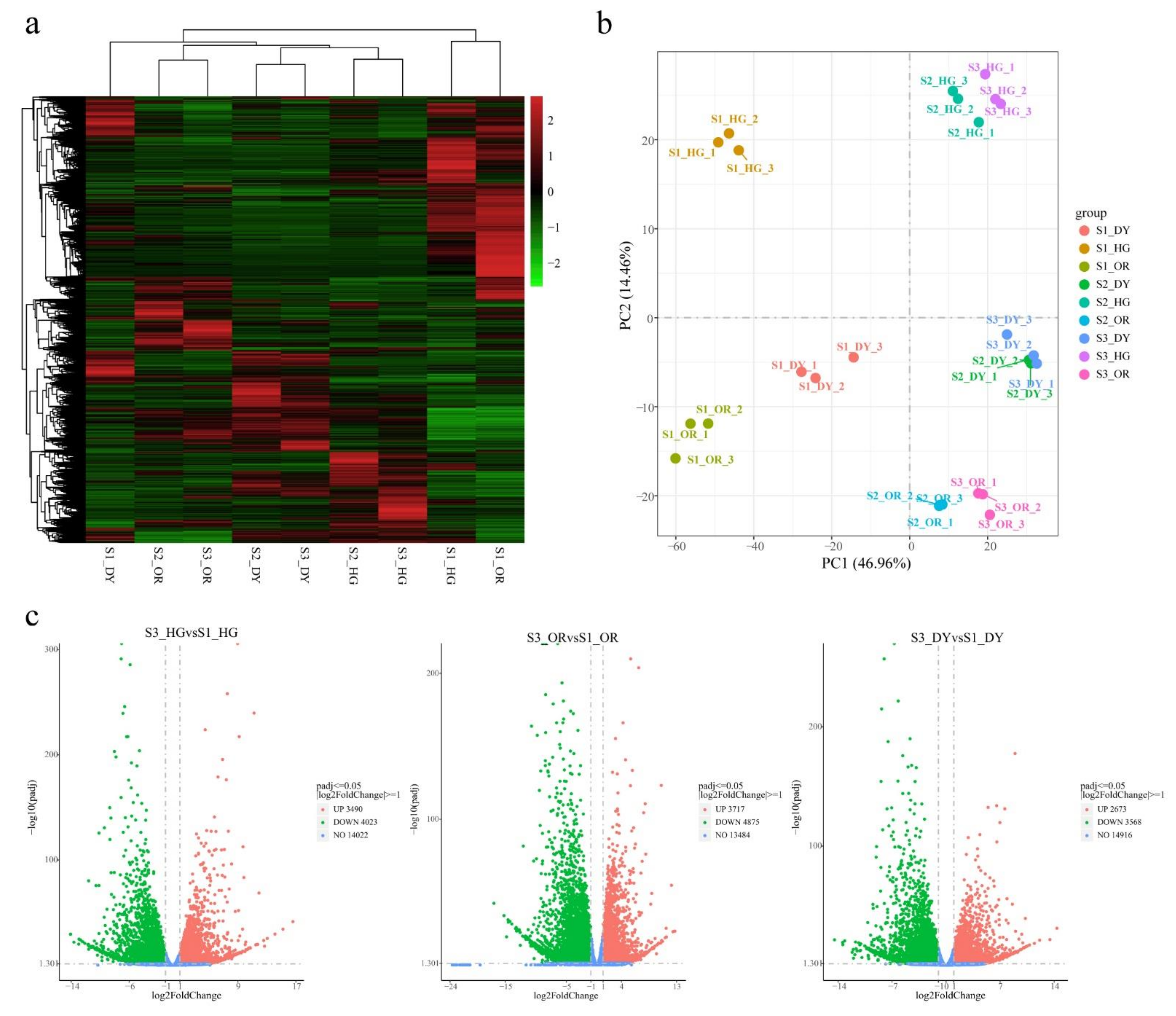 Ijms 23 05457 g005 550