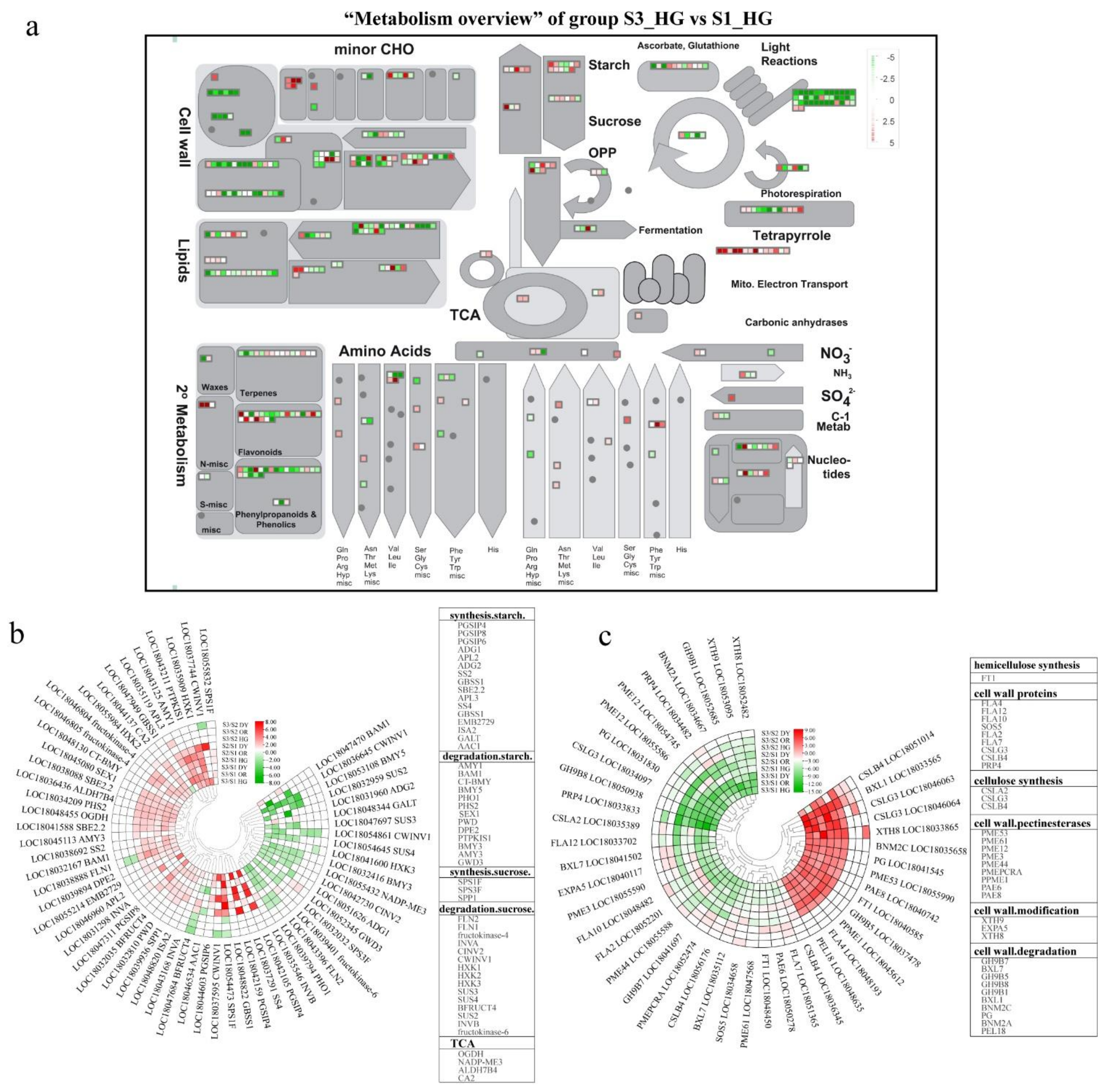 Ijms 23 05457 g007 550