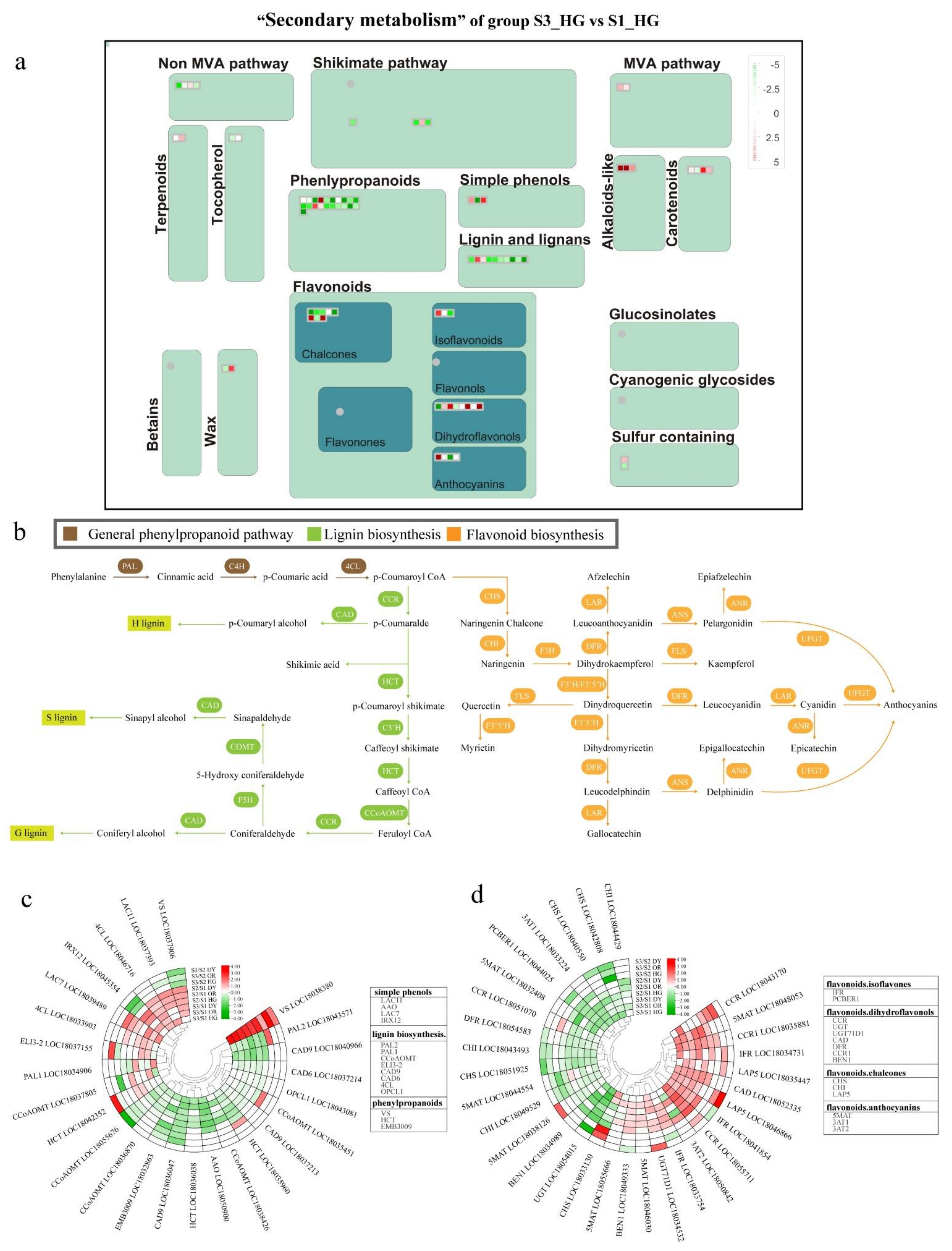 Ijms 23 05457 g008 550