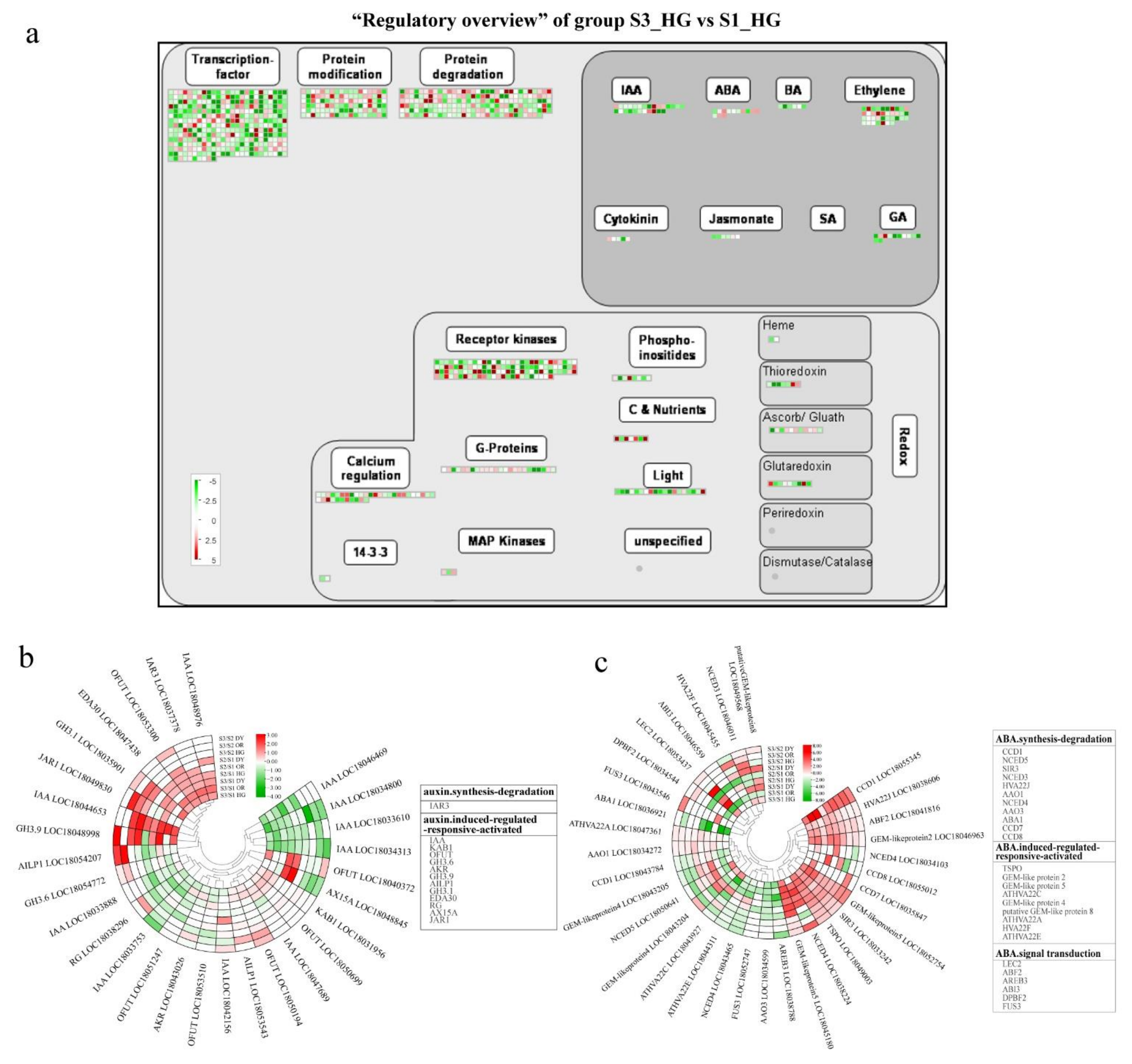 Ijms 23 05457 g009 550
