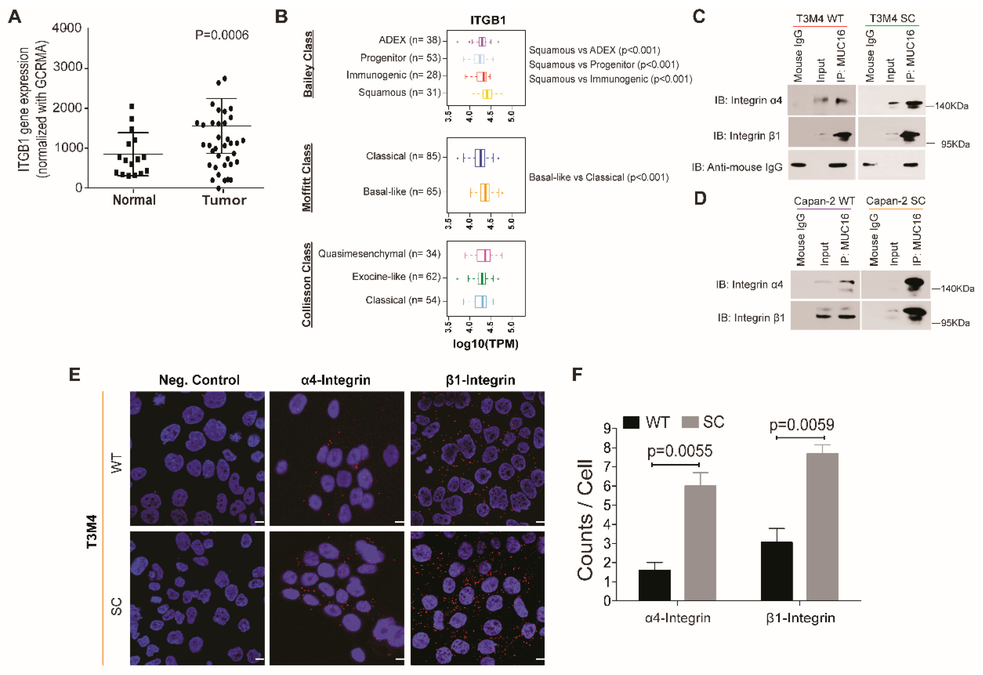 Ijms 23 05459 g003 550