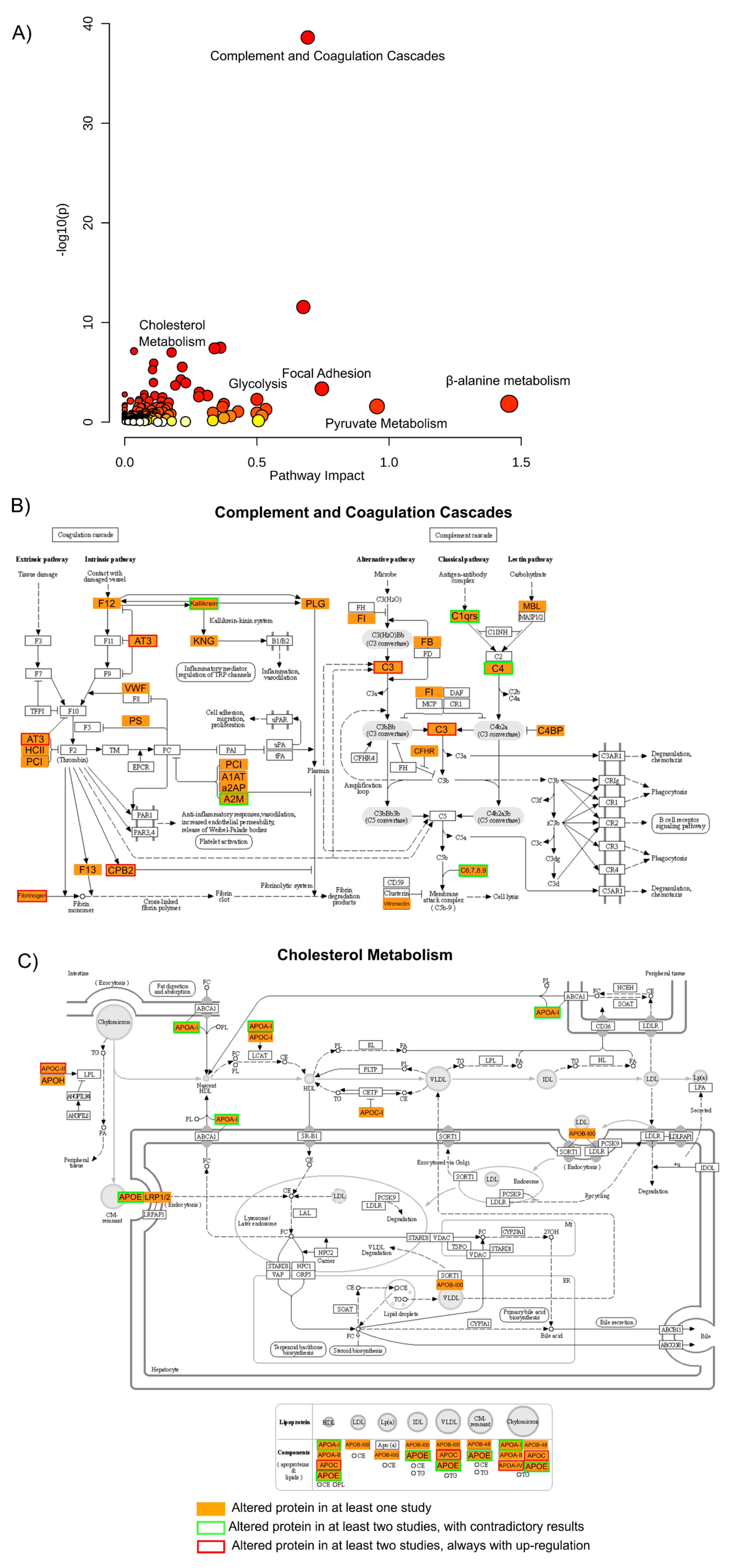 Ijms 23 05460 g005 Ijms 23 05460 g005
