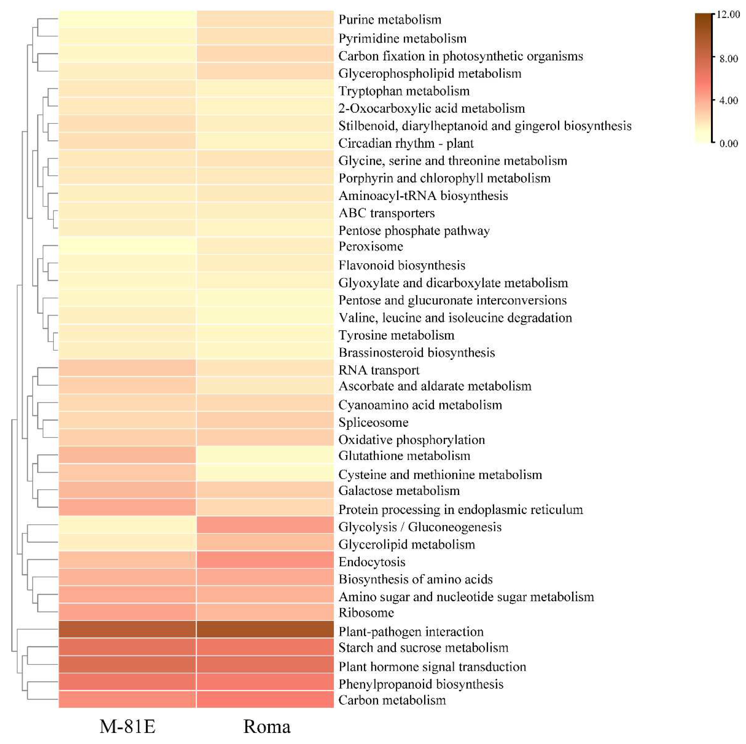 Ijms 23 05465 g004 550