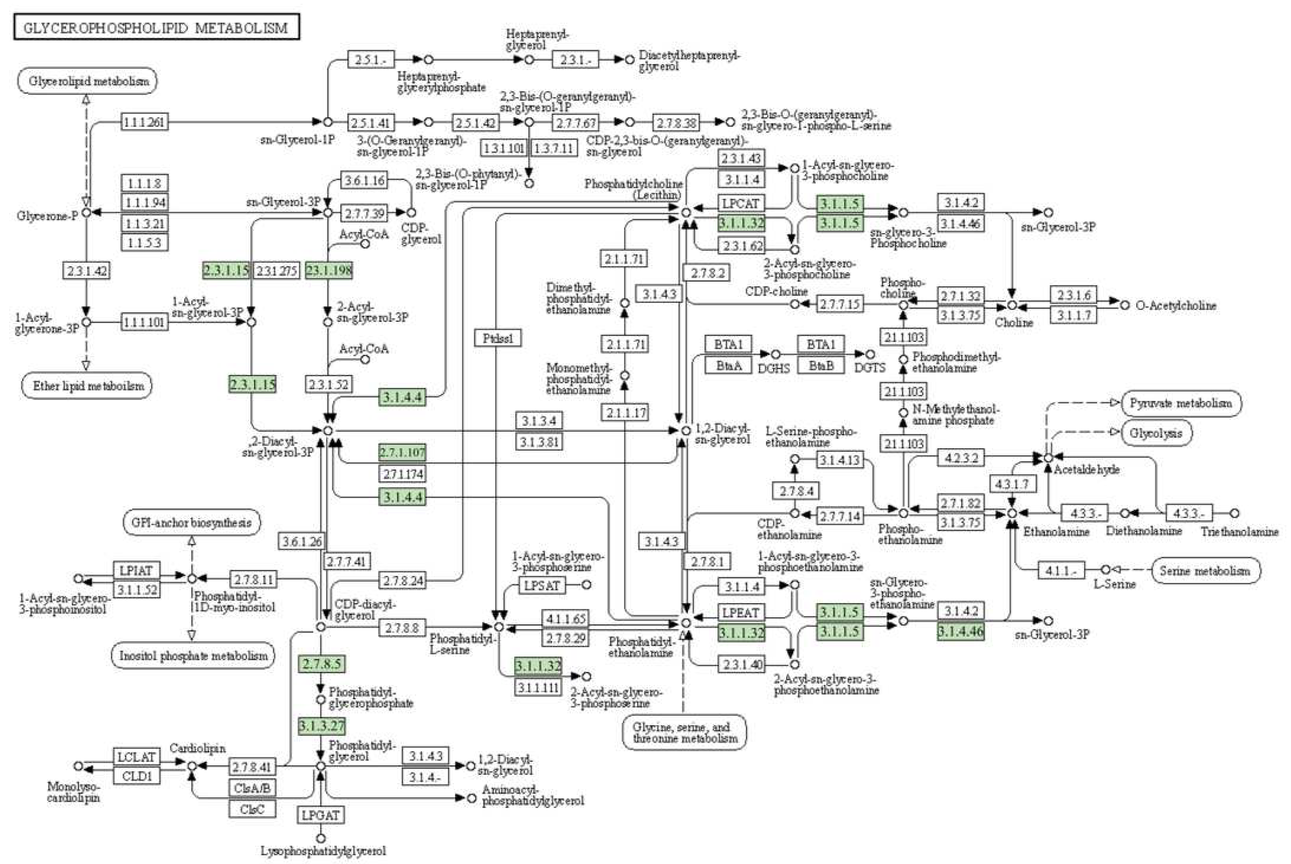 Ijms 23 05465 g005 550