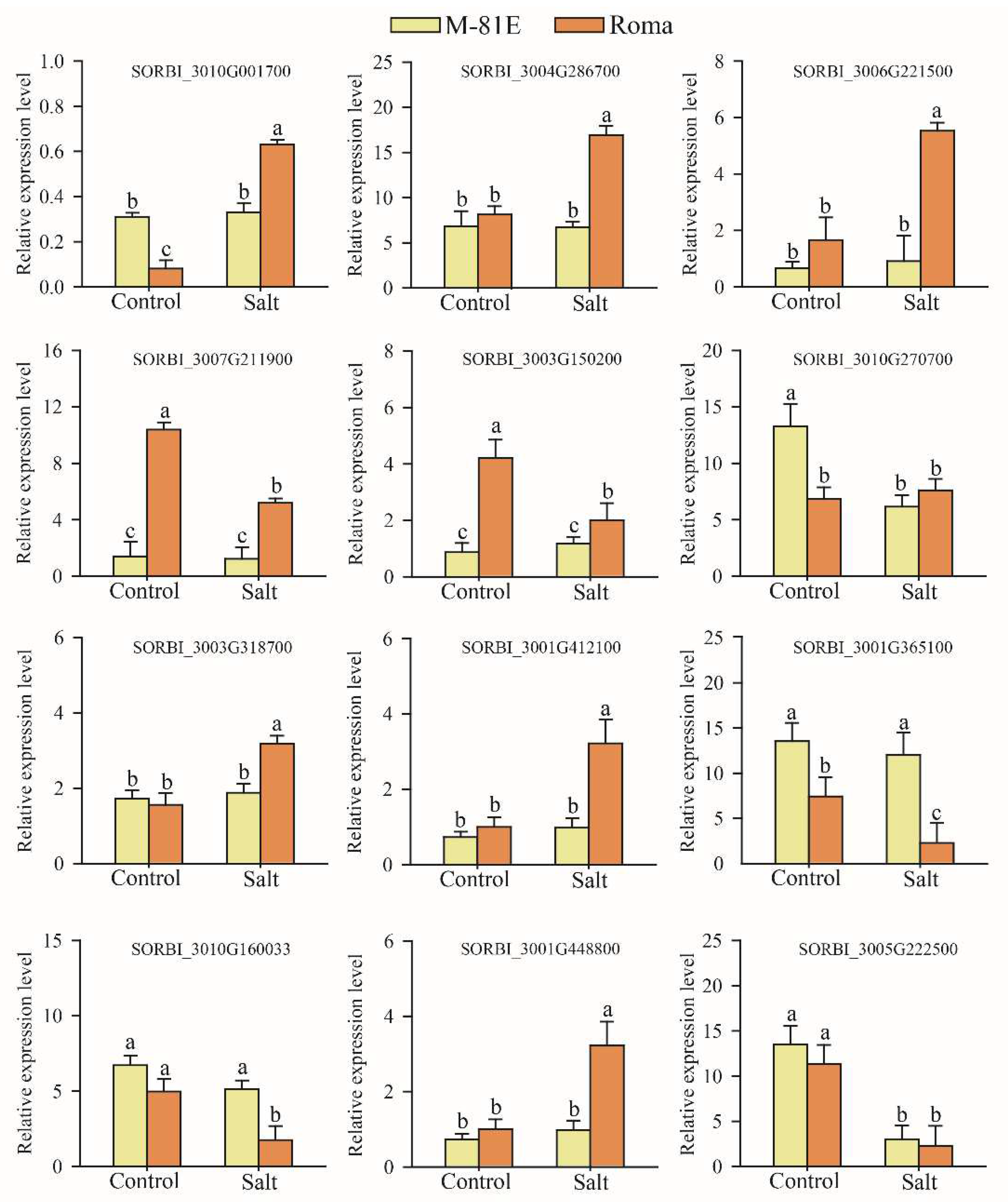 Ijms 23 05465 g006 550