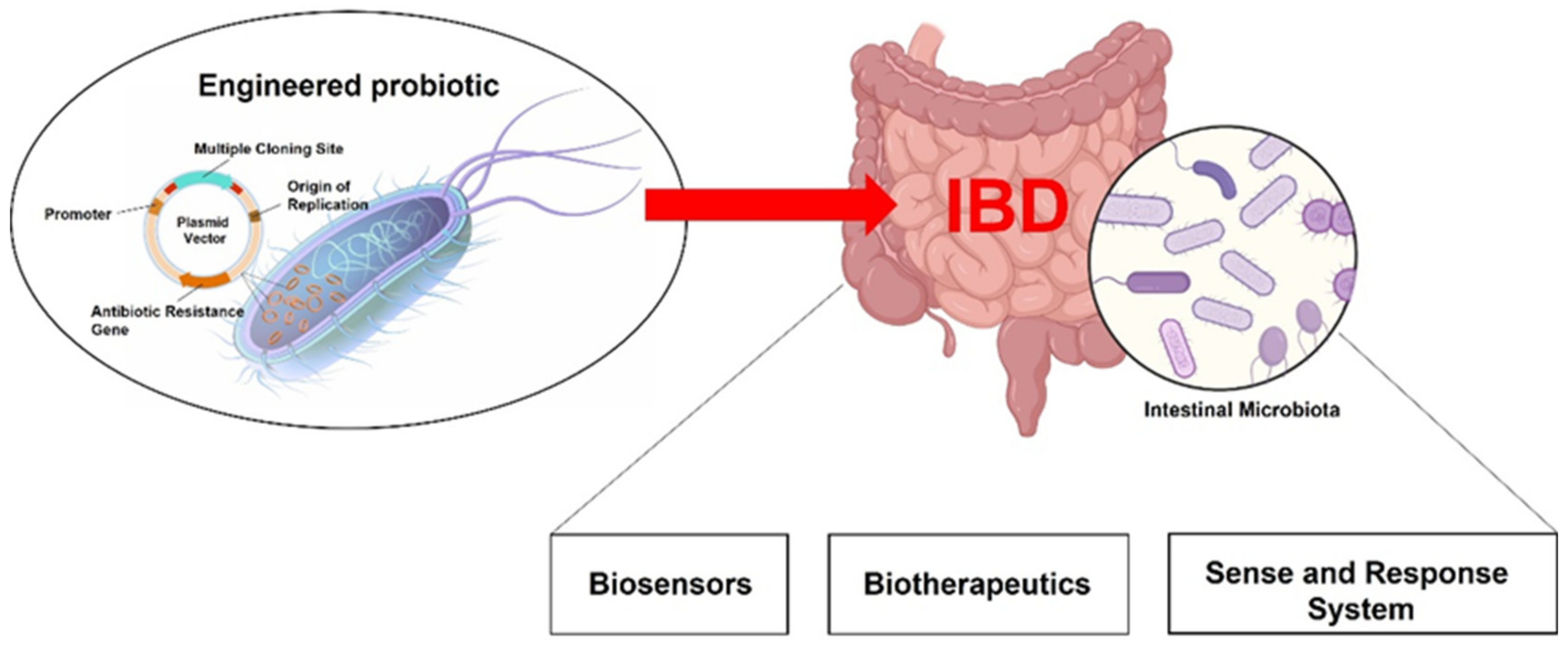Ijms 23 05466 g001 Ijms 23 05466 g001