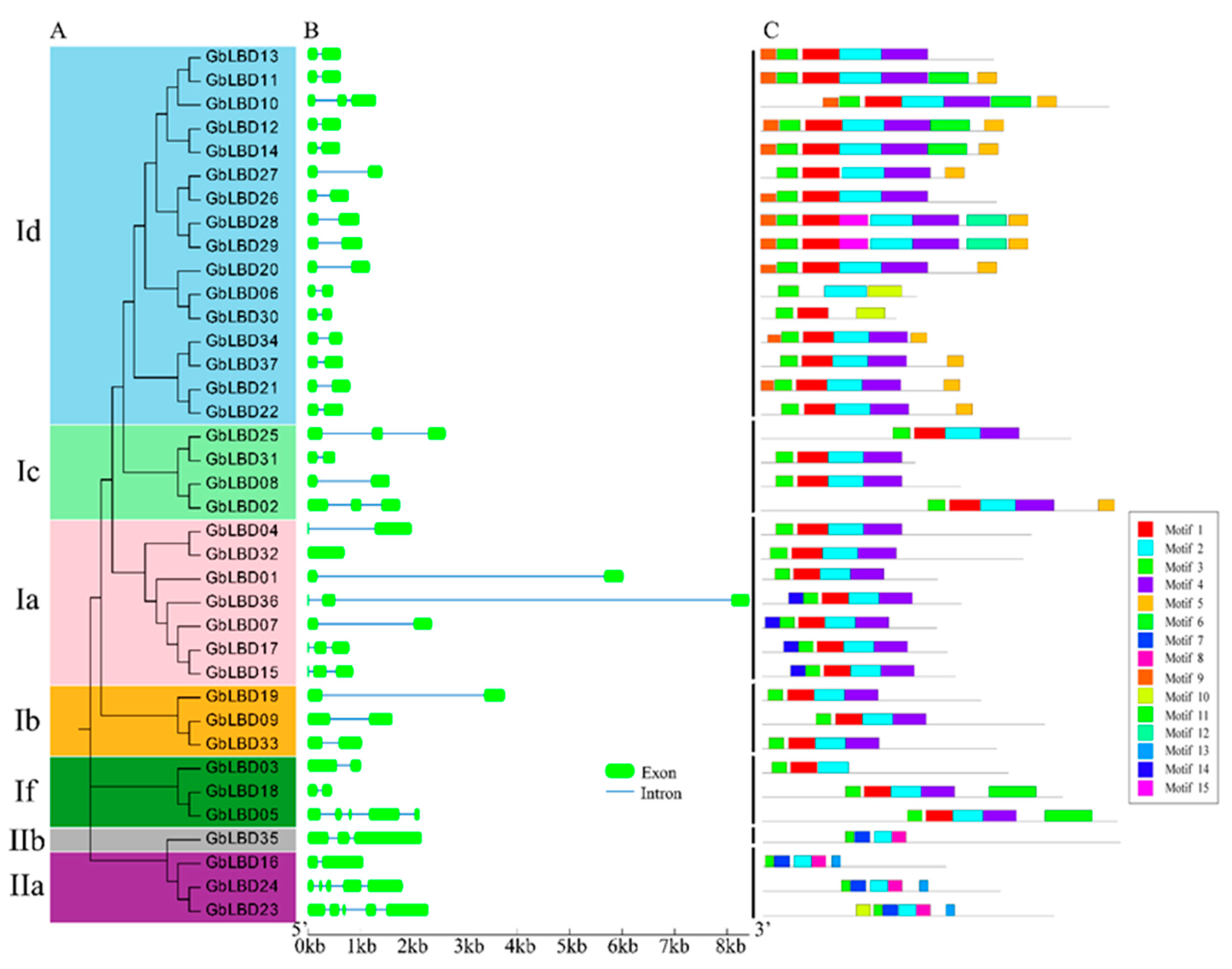 Ijms 23 05474 g005 550