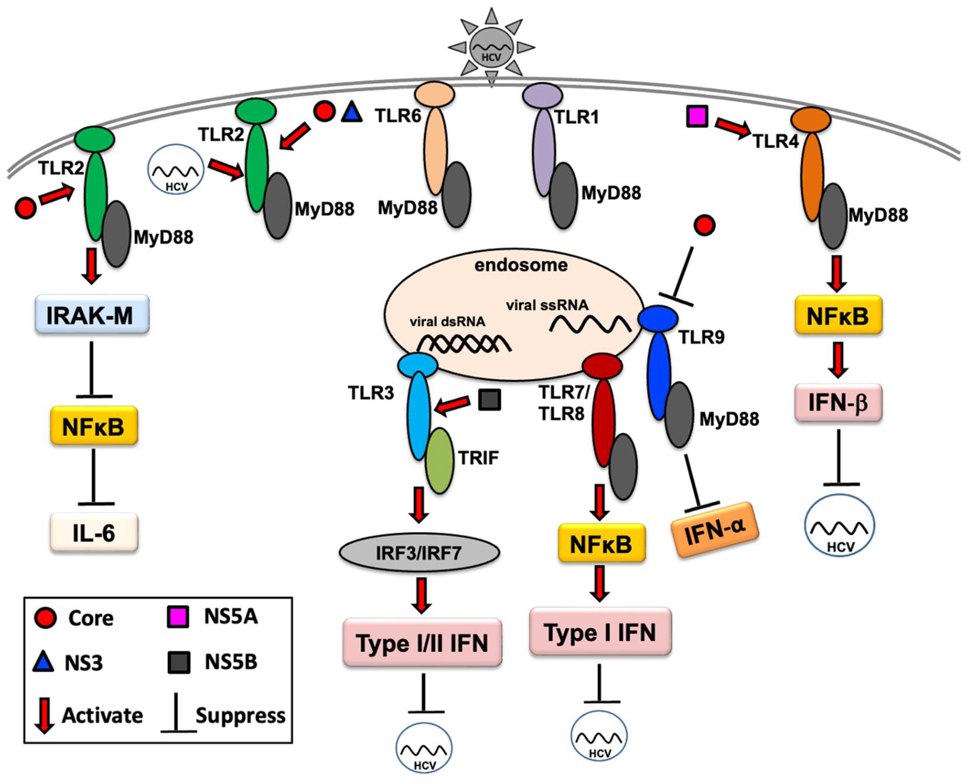 Ijms 23 05475 g001 Ijms 23 05475 g001