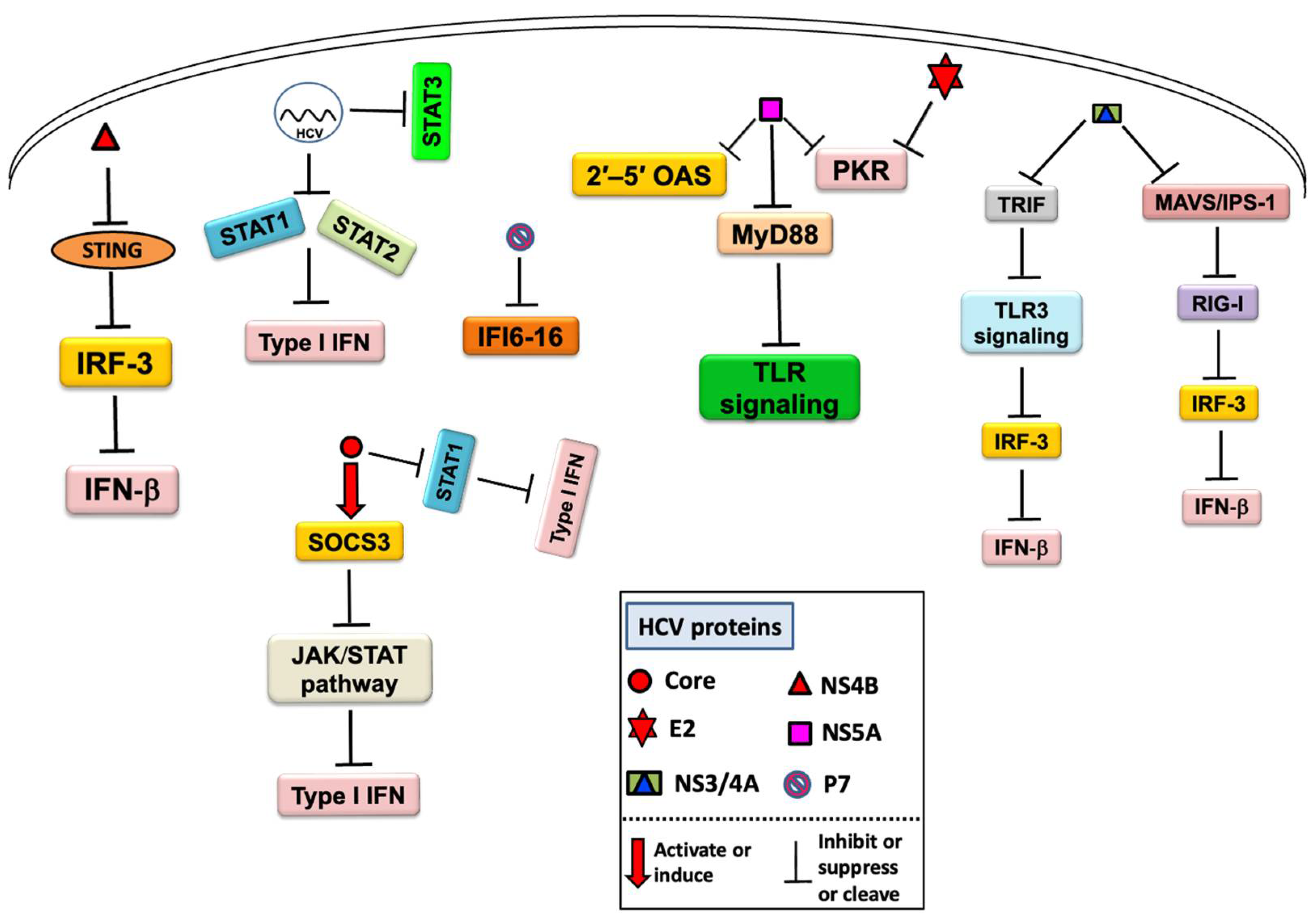 Ijms 23 05475 g002 Ijms 23 05475 g002