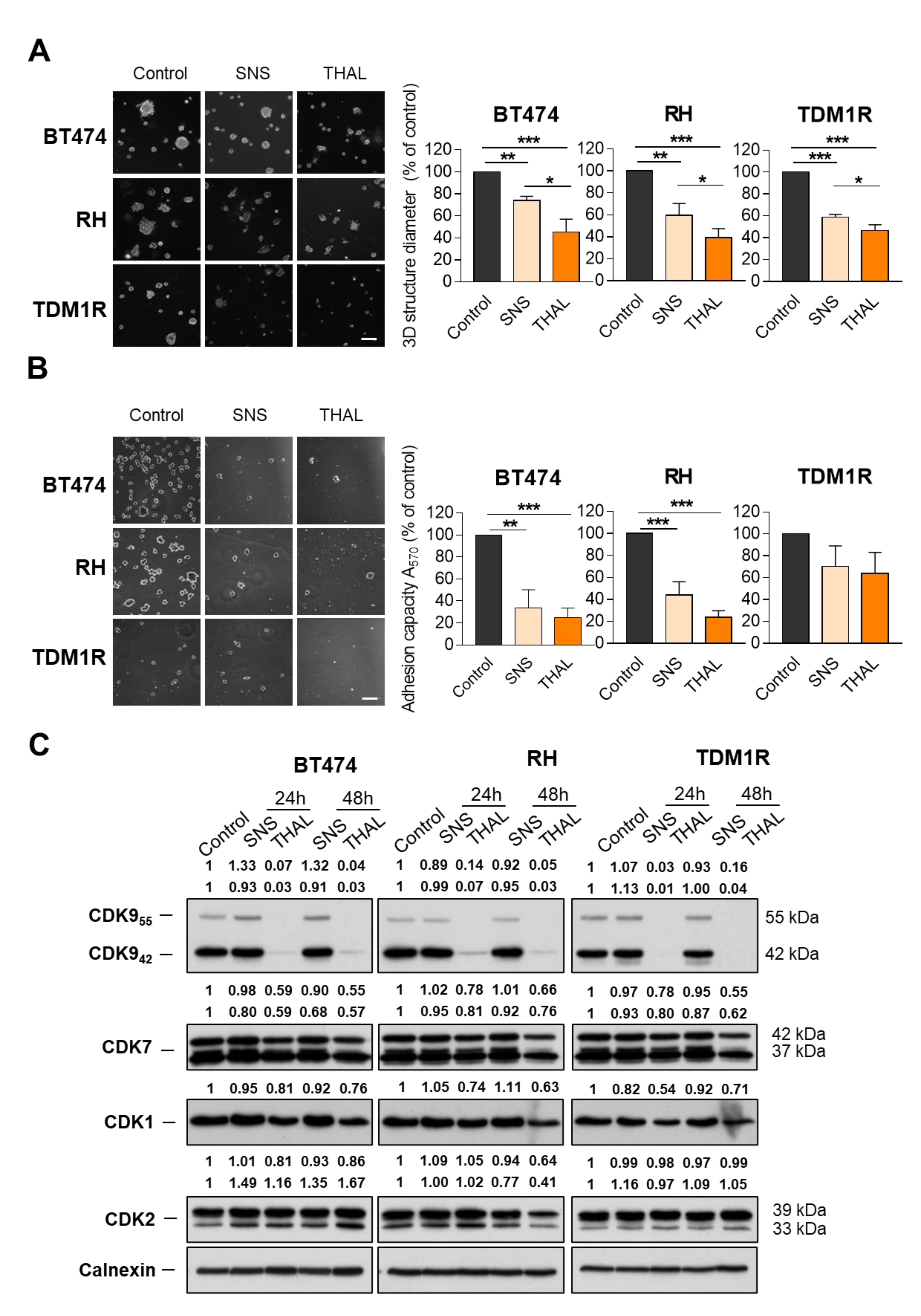 Ijms 23 05476 g003 550
