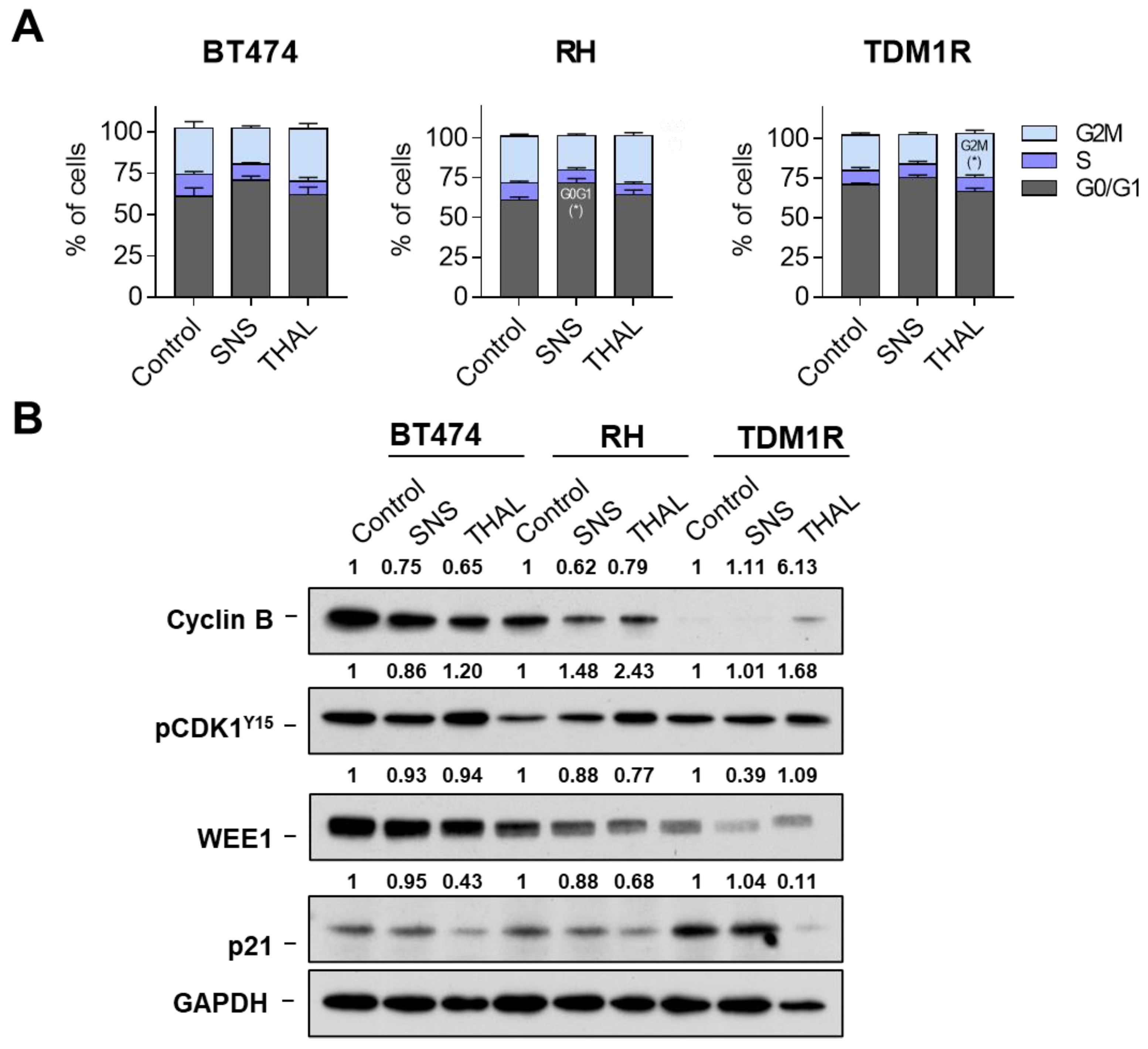 Ijms 23 05476 g004 550