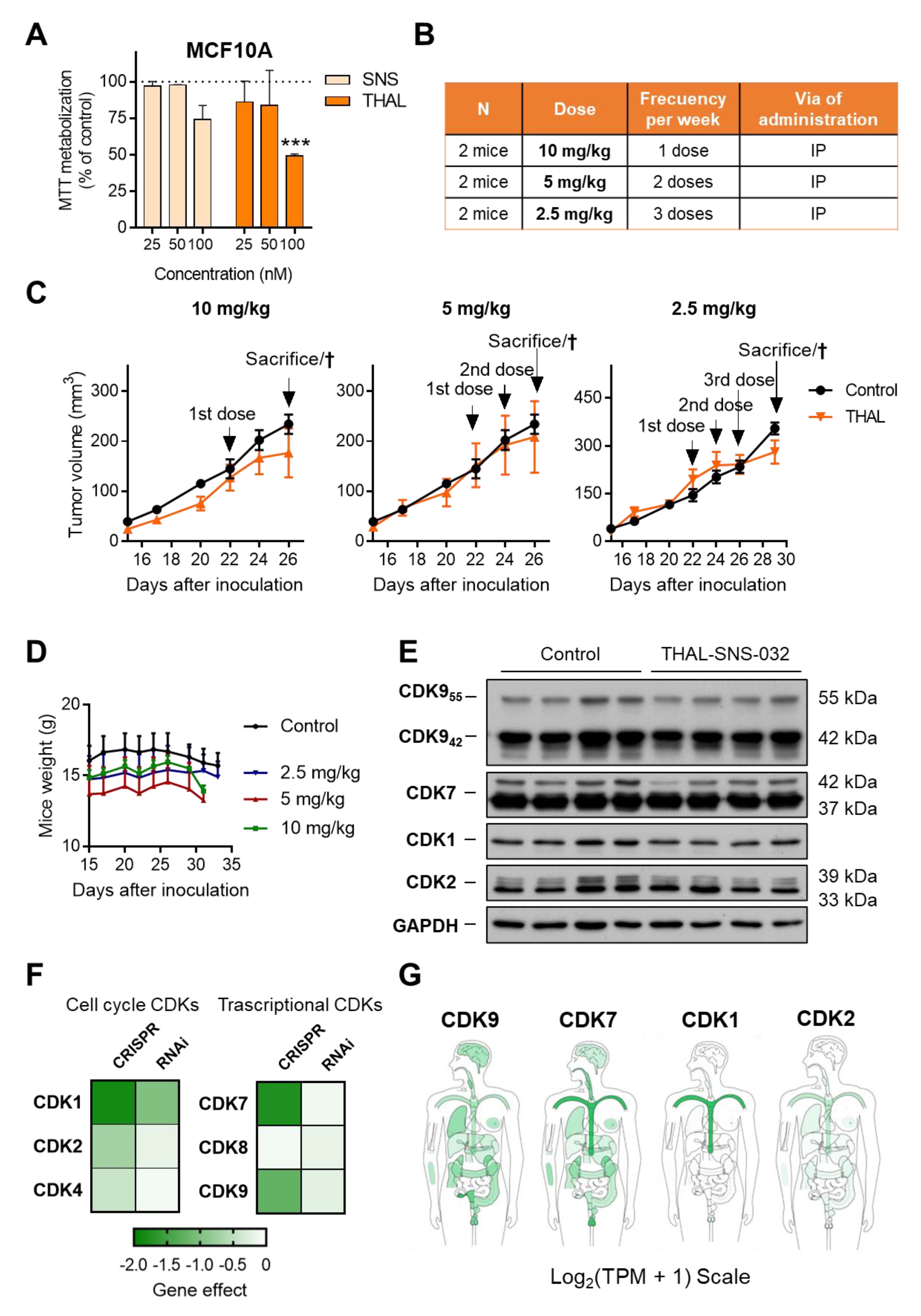 Ijms 23 05476 g006 550