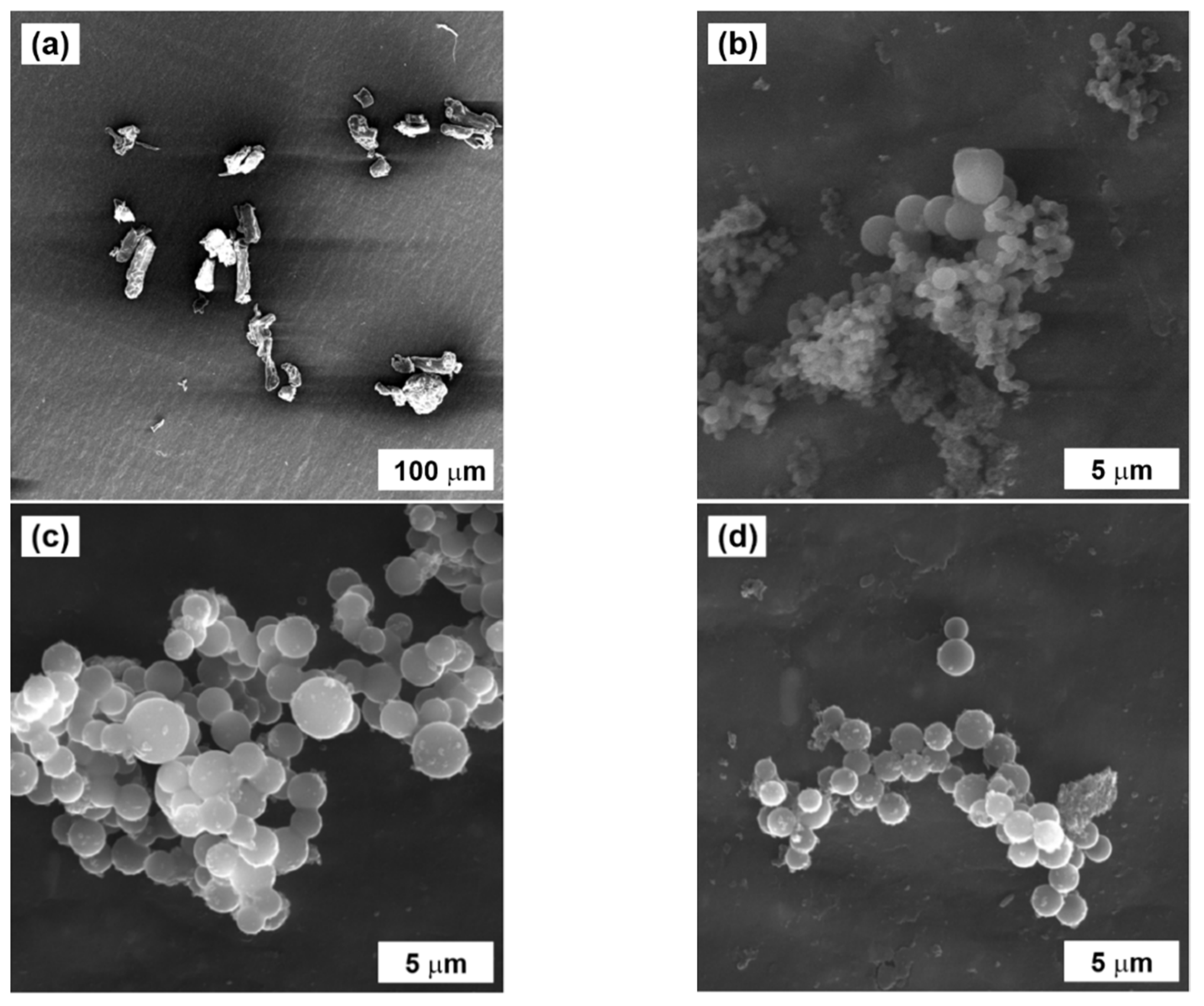 Ijms 23 05477 g004 550