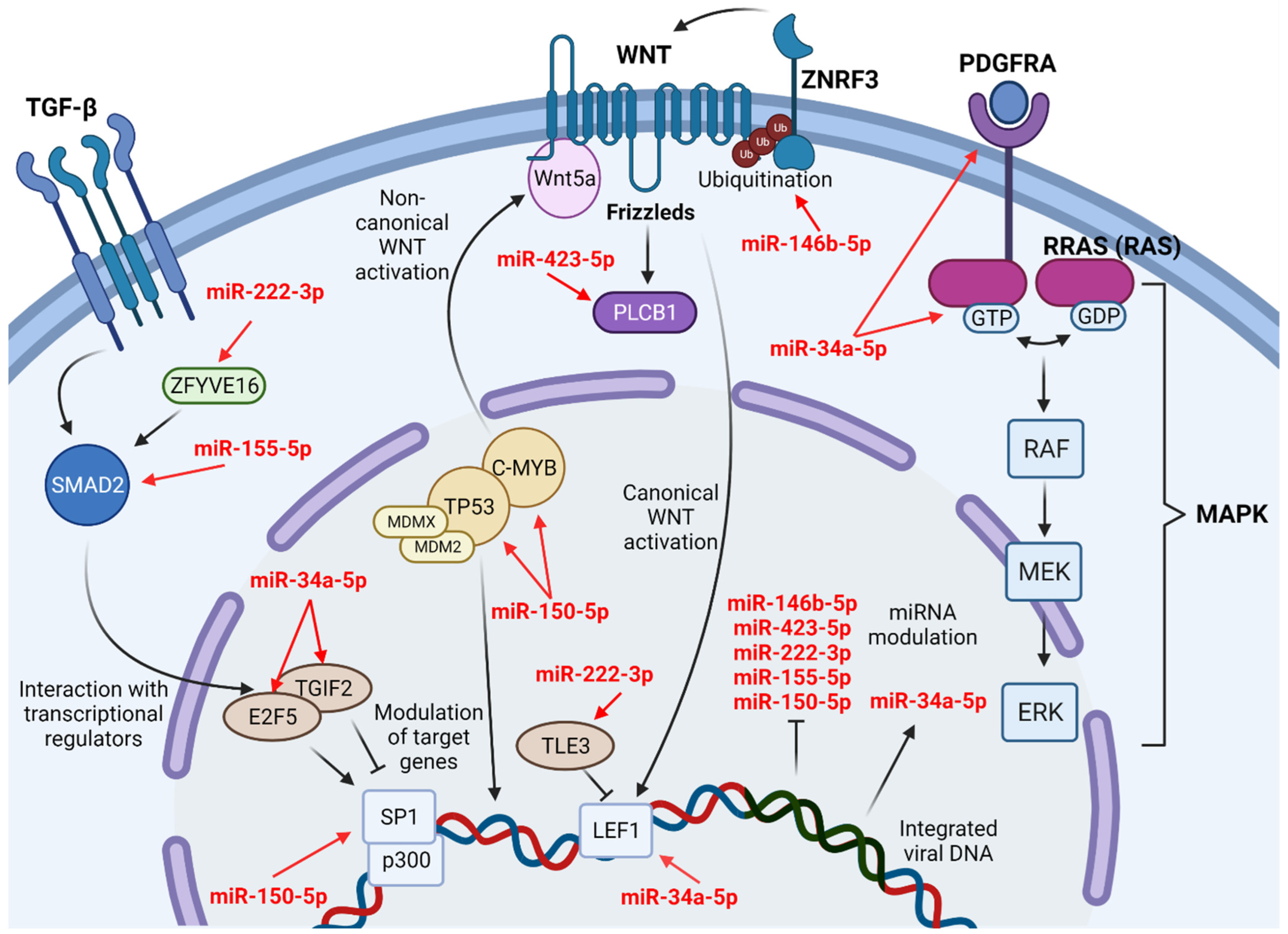 Ijms 23 05486 g003 Ijms 23 05486 g003