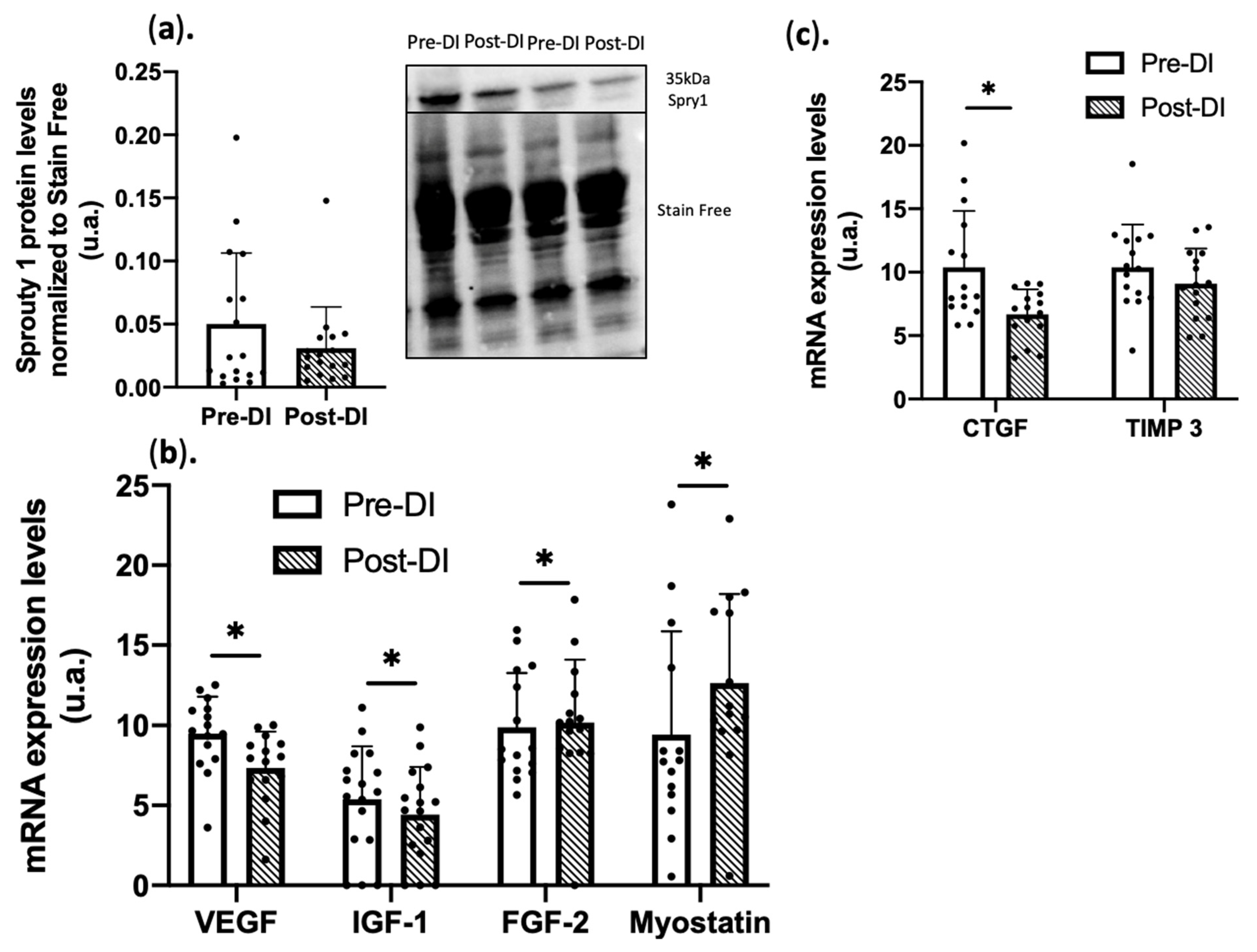 Ijms 23 05489 g002 Ijms 23 05489 g002