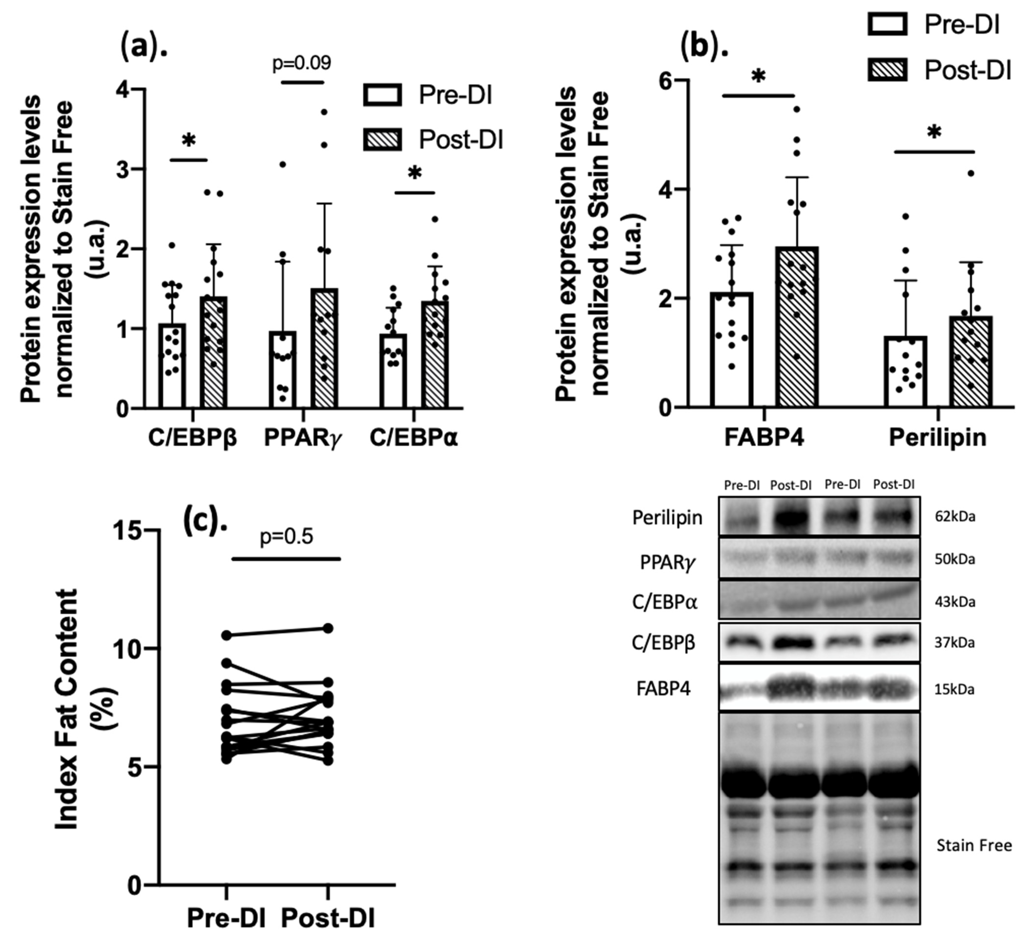 Ijms 23 05489 g005 Ijms 23 05489 g005
