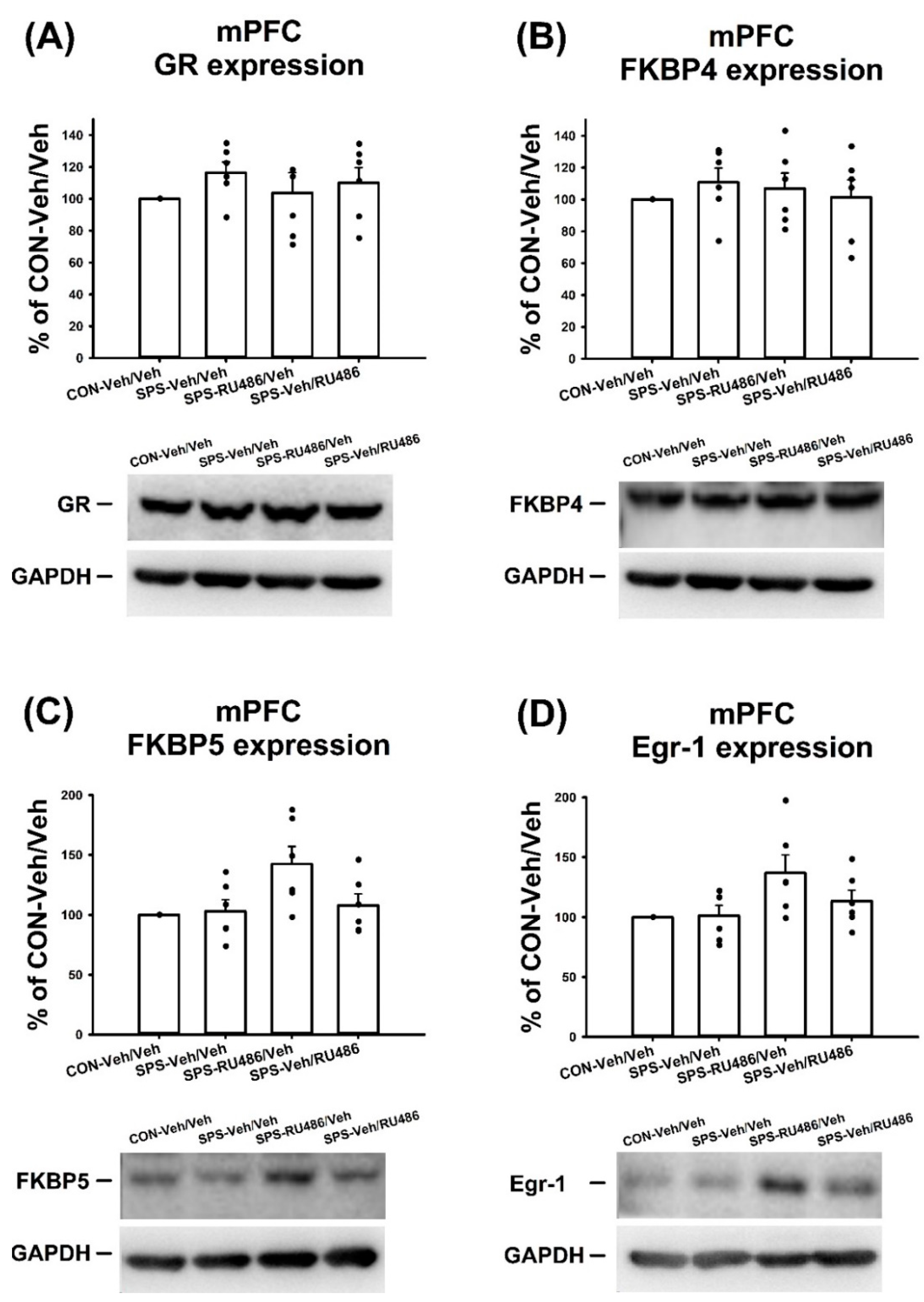 Ijms 23 05494 g004 Ijms 23 05494 g004